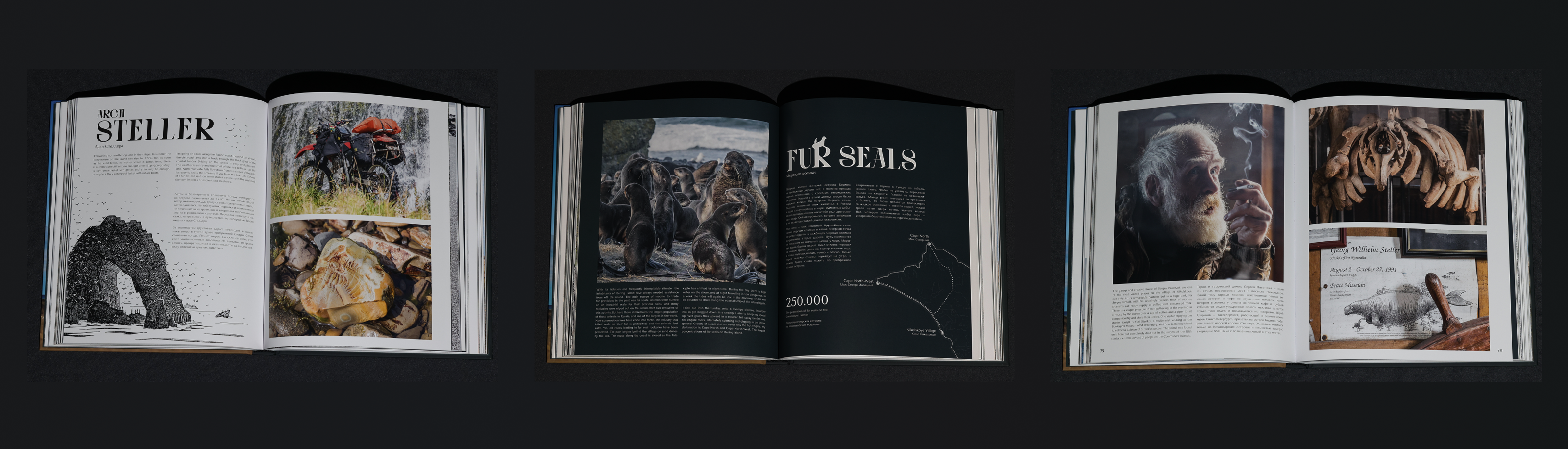 Книга | Остров Беринга — Изображение №9 — Графика на Dprofile