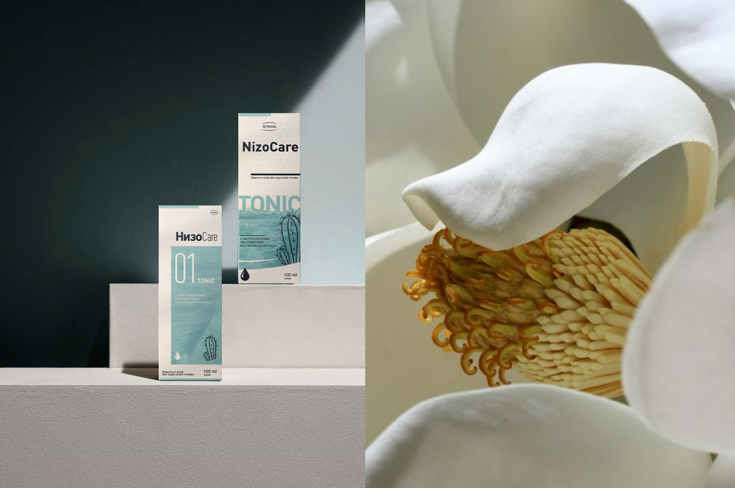 STADA NizoCare shampoo | Упаковка — Изображение №11 — Брендинг на Dprofile