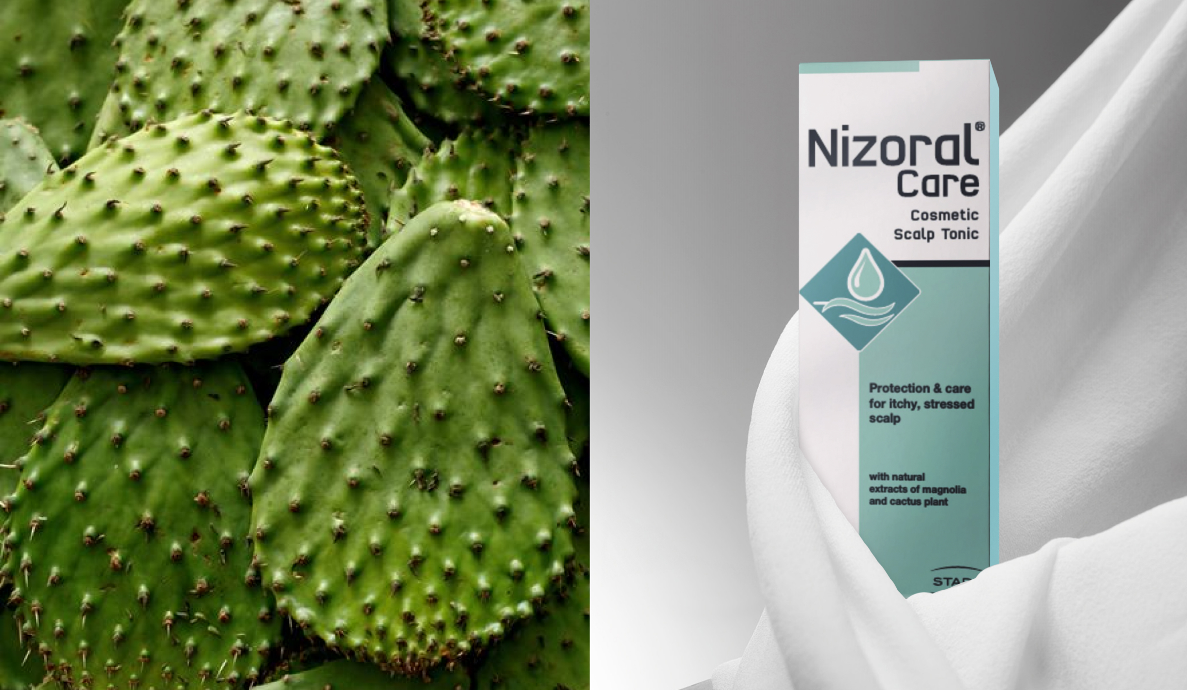 STADA NizoCare shampoo | Упаковка — Изображение №9 — Брендинг на Dprofile