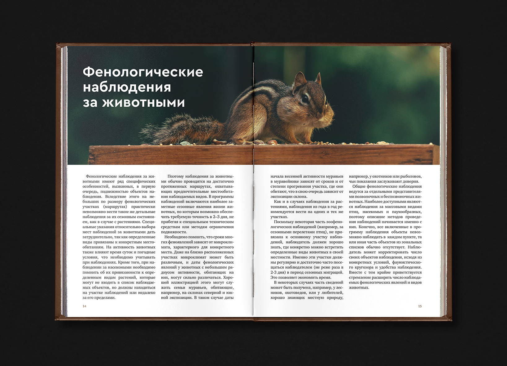 Book Design. 2021-2024 — Изображение №33 — Графика на Dprofile