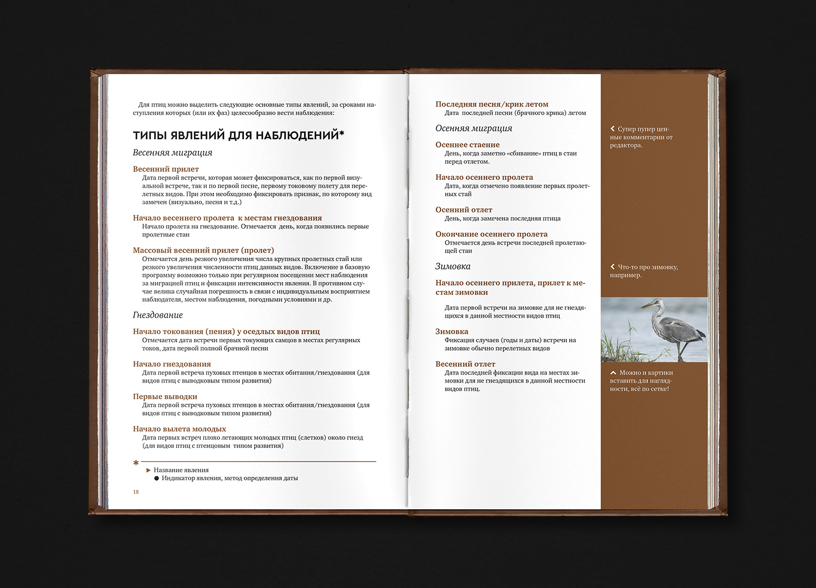 Book Design. 2021-2024 — Изображение №34 — Графика на Dprofile