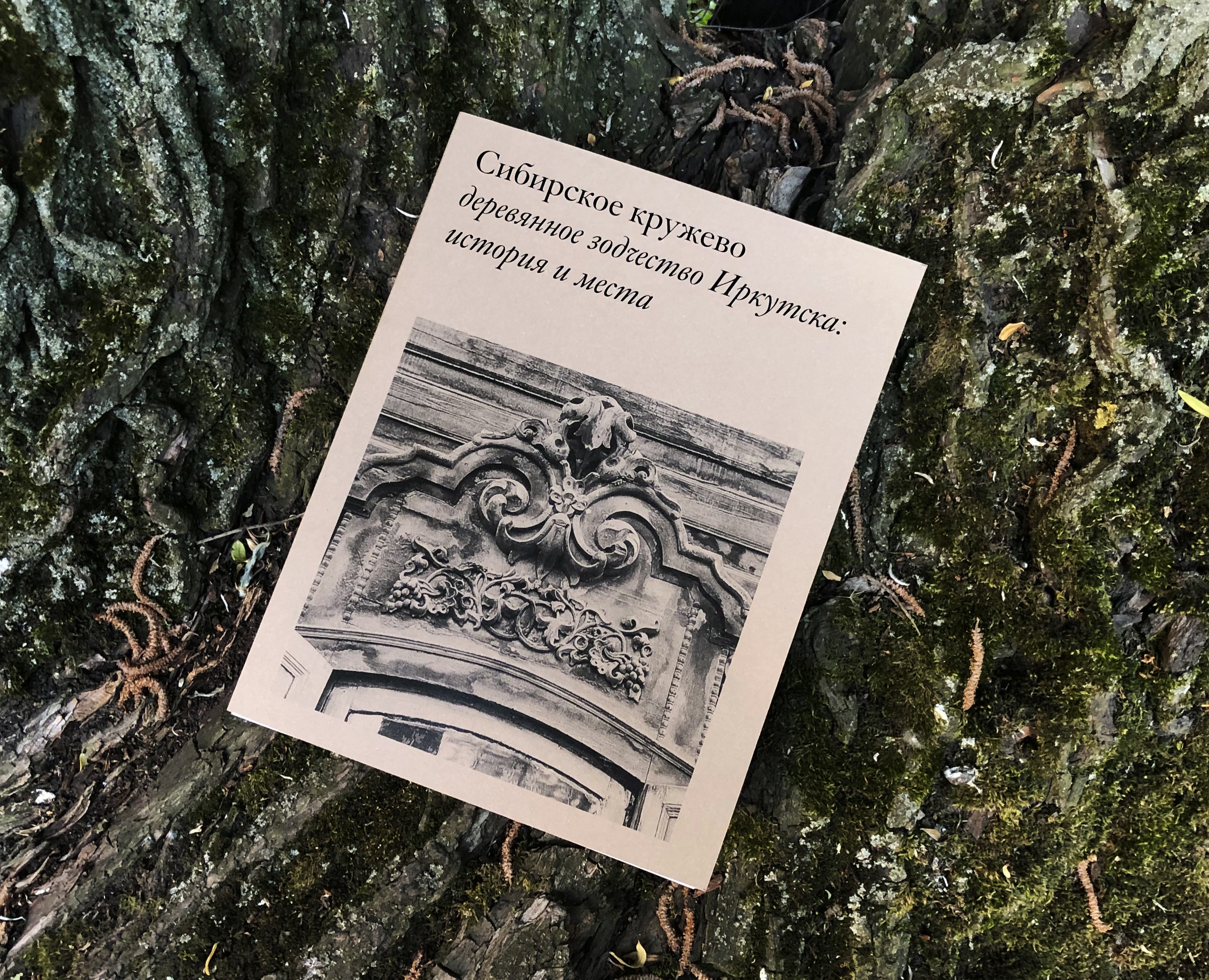 Деревянное зодчество Иркутска: история и места — Графика на Dprofile