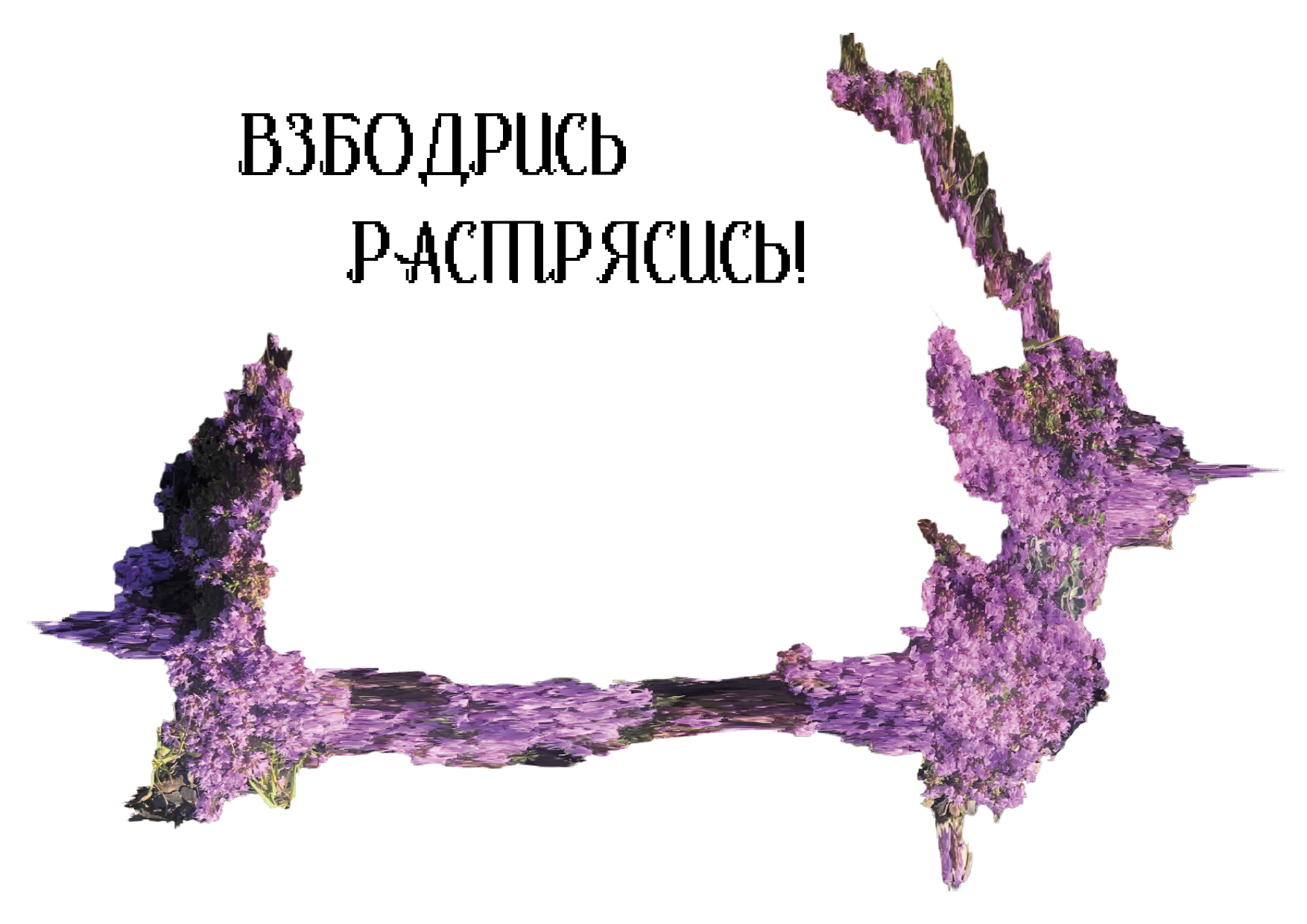 SEALA Байкальский энергетик / брендинг и упаковка — Изображение №21 — Брендинг на Dprofile