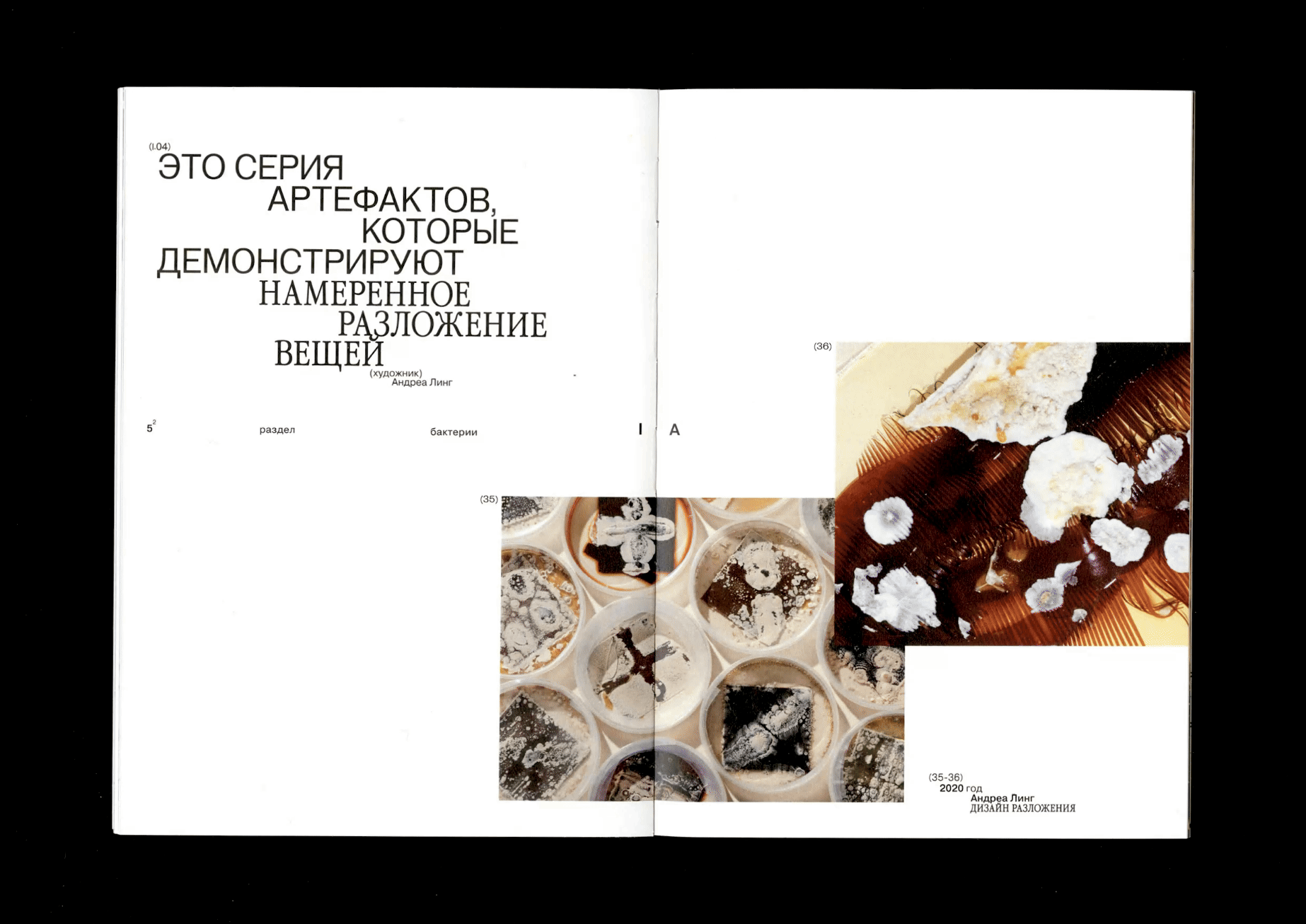 Microworld as an art — book — Изображение №17 — Графика на Dprofile