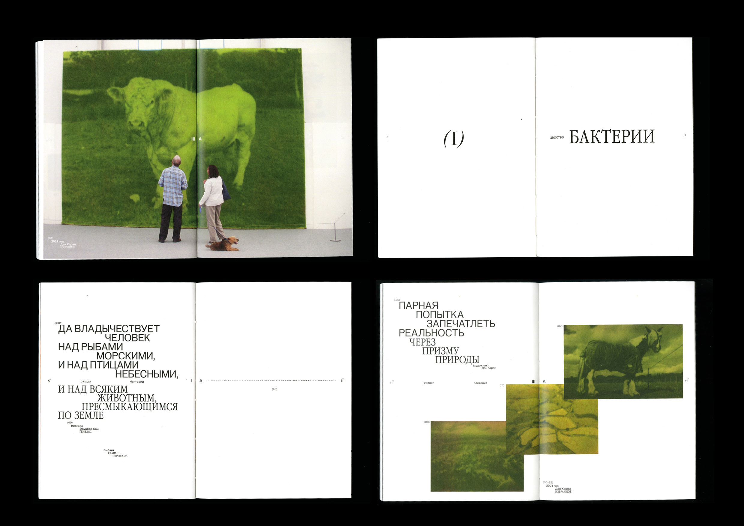 Microworld as an art — book — Изображение №8 — Графика на Dprofile