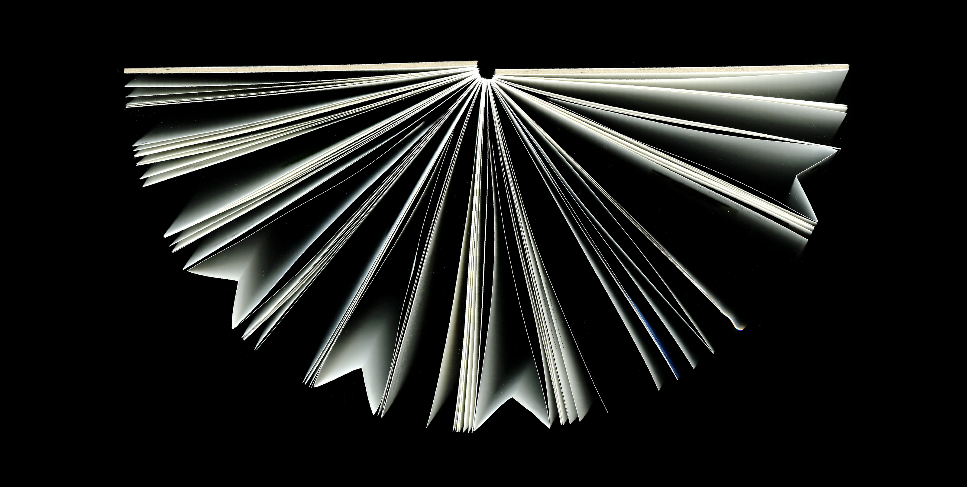 Microworld as an art — book — Изображение №4 — Графика на Dprofile