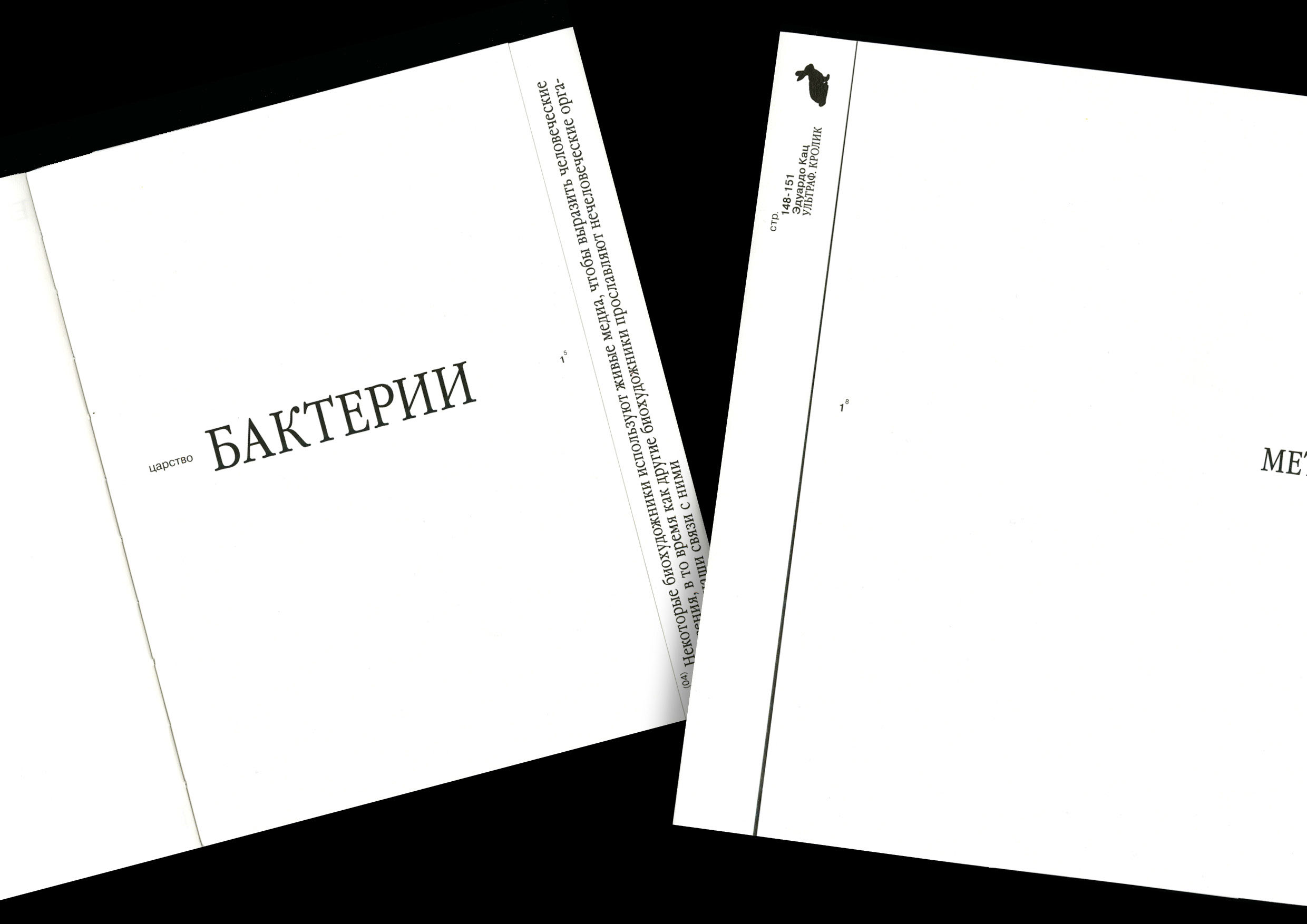 Microworld as an art — book — Изображение №7 — Графика на Dprofile