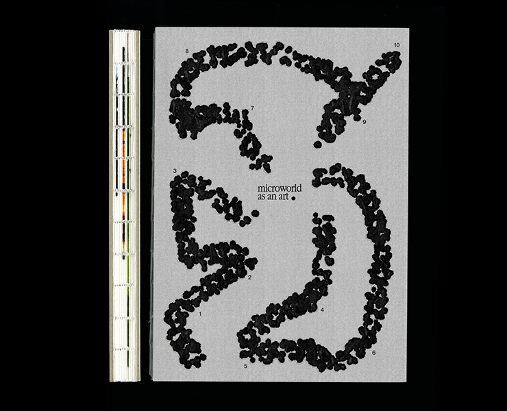 Microworld as an art — book на Dprofile
