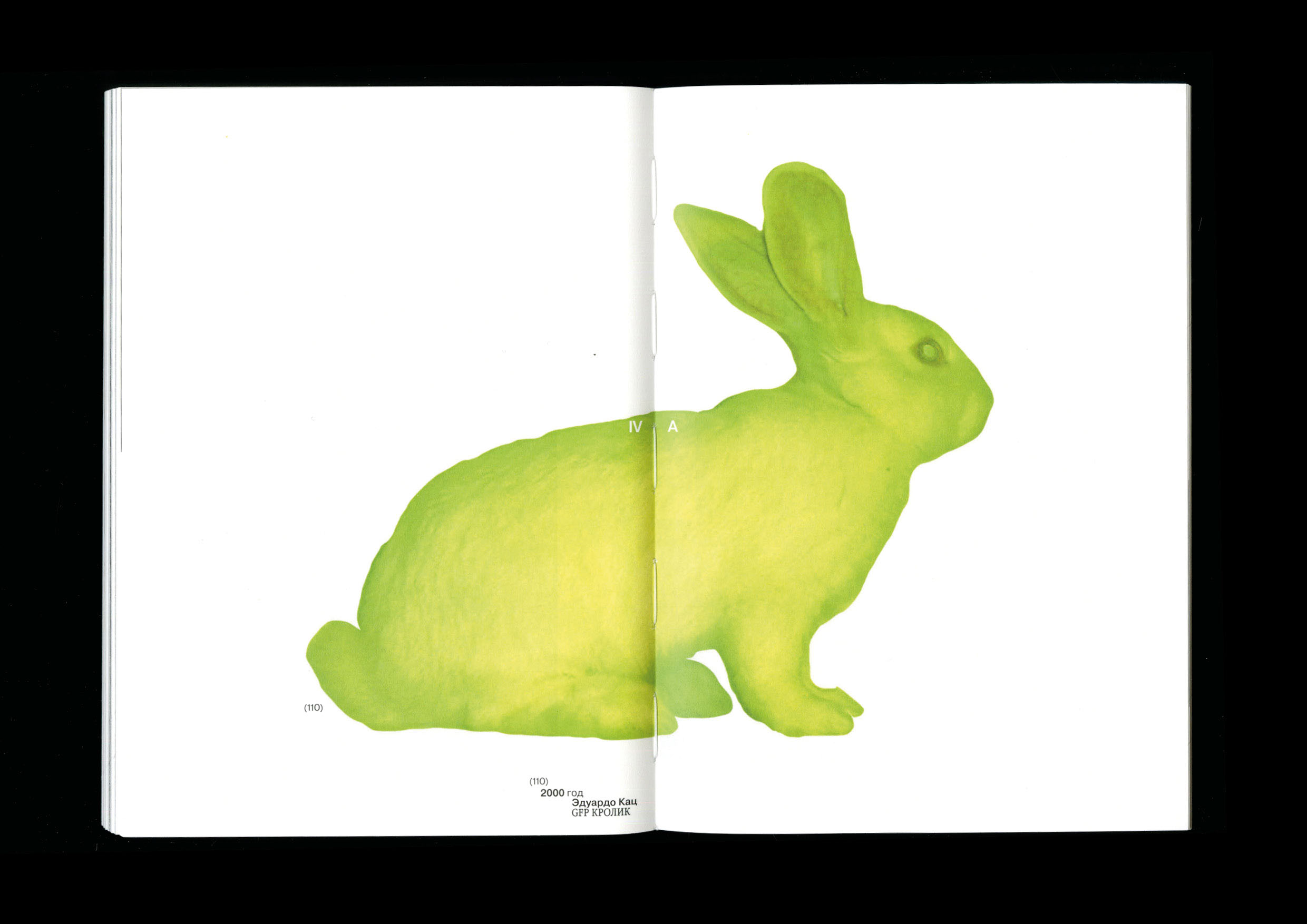 Microworld as an art — book — Изображение №9 — Графика на Dprofile