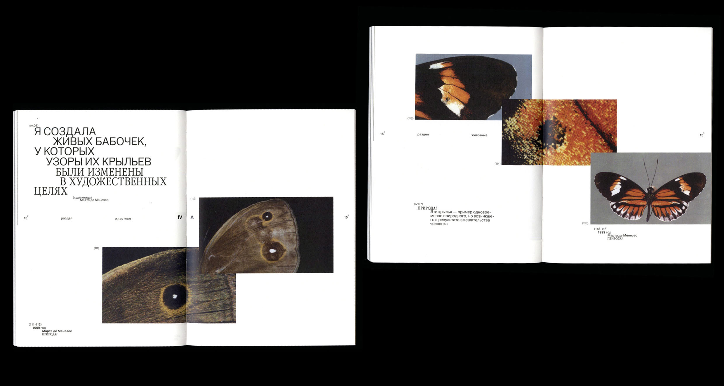 Microworld as an art — book — Изображение №15 — Графика на Dprofile