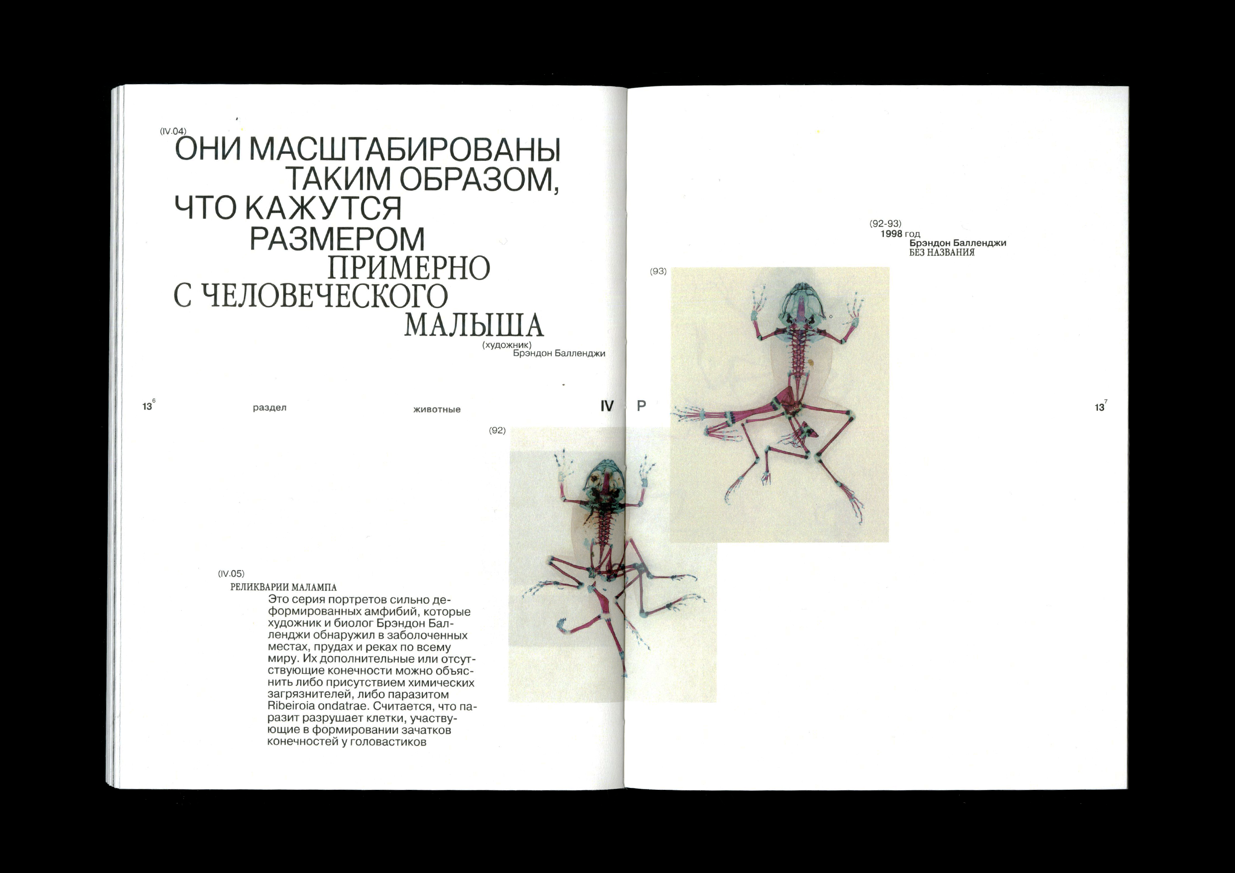 Microworld as an art — book — Изображение №21 — Графика на Dprofile