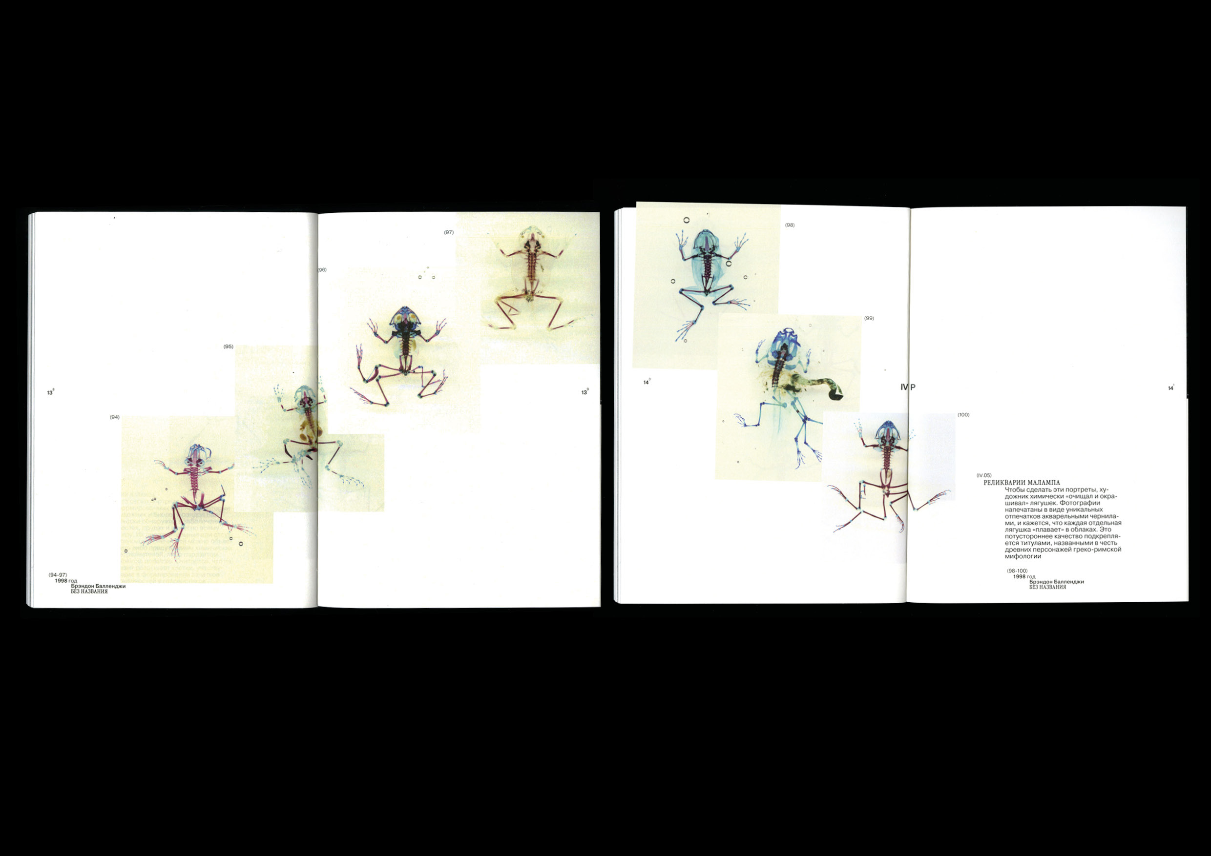 Microworld as an art — book — Изображение №22 — Графика на Dprofile