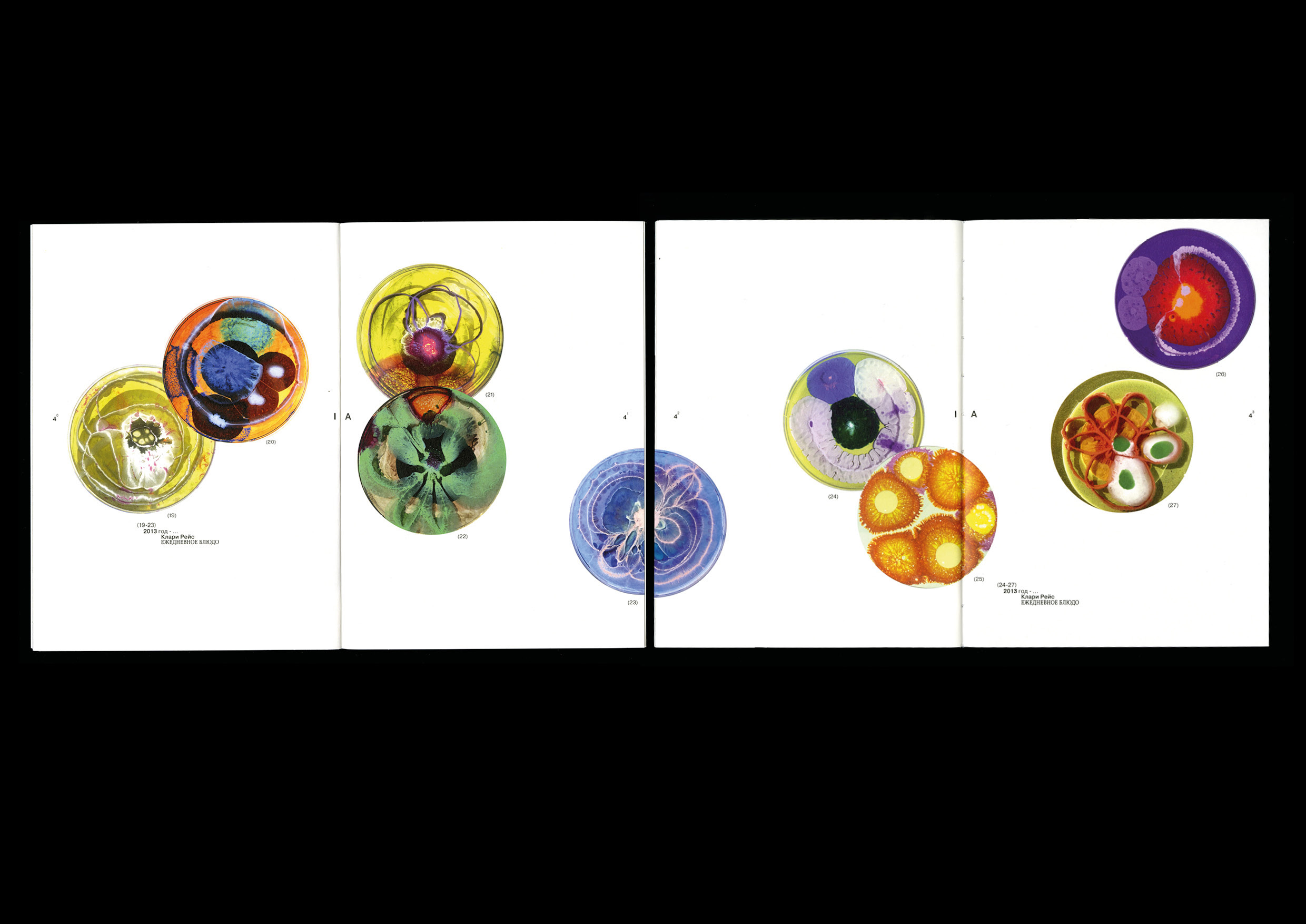 Microworld as an art — book — Изображение №12 — Графика на Dprofile