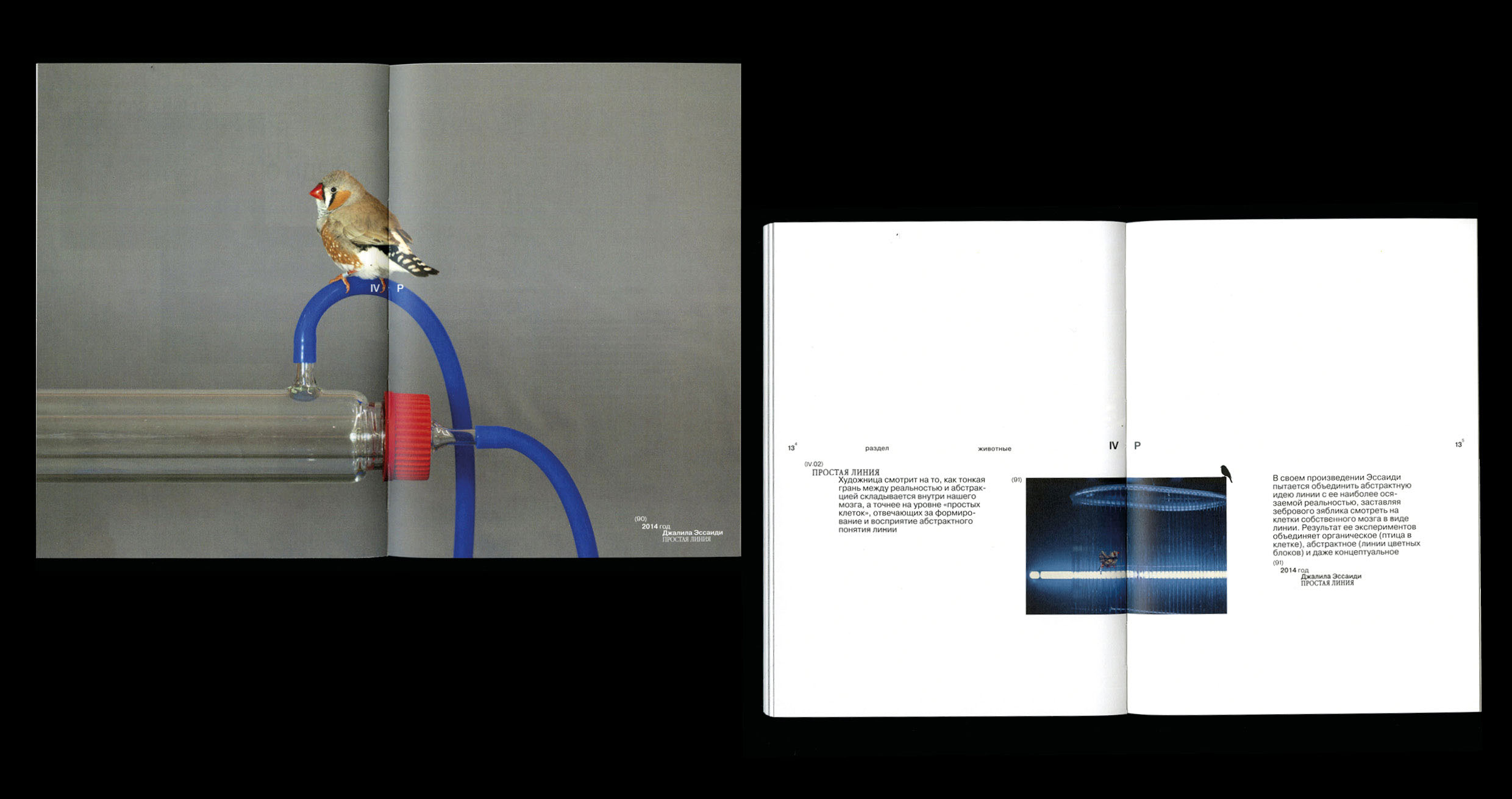 Microworld as an art — book — Изображение №16 — Графика на Dprofile