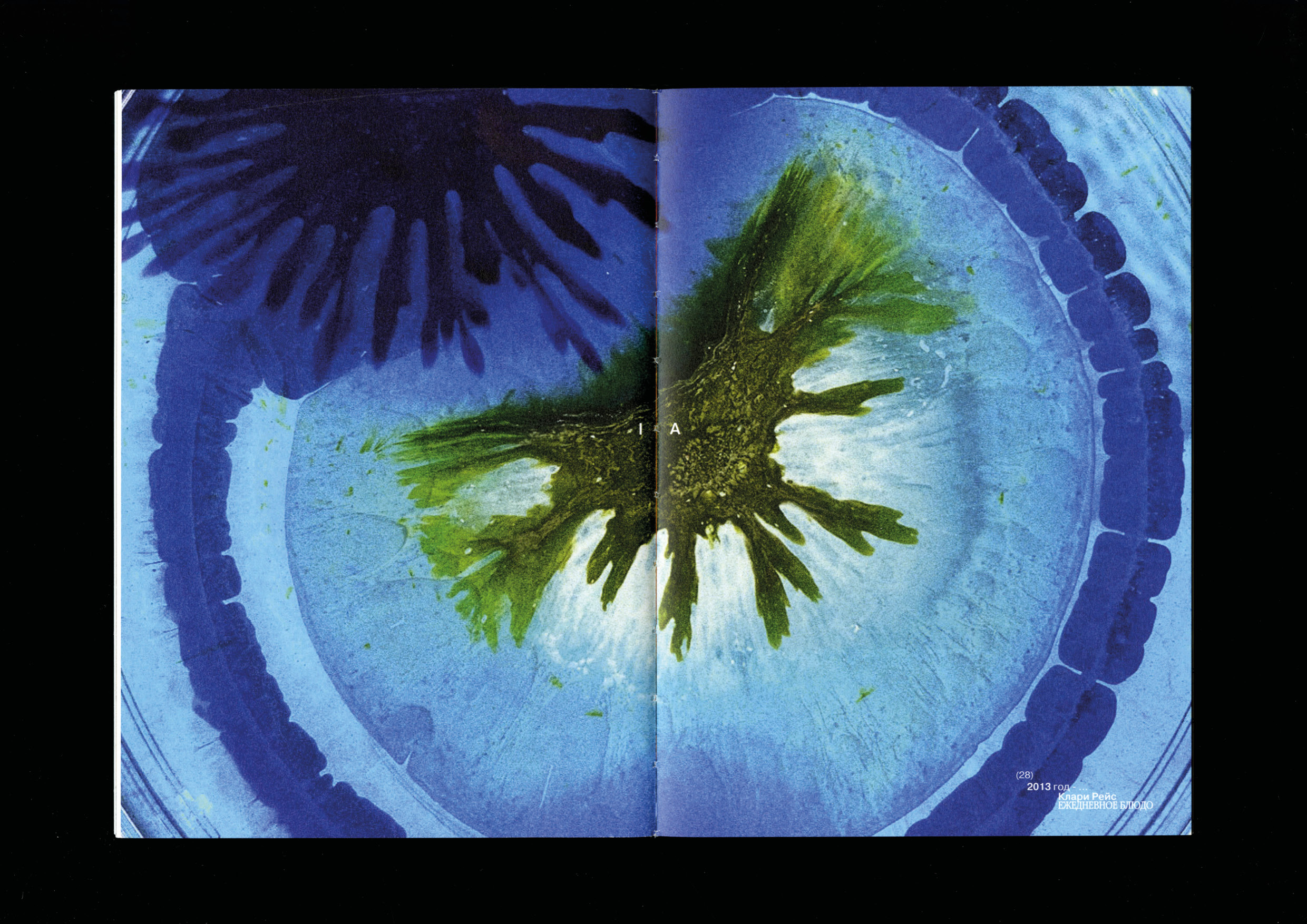 Microworld as an art — book — Изображение №13 — Графика на Dprofile