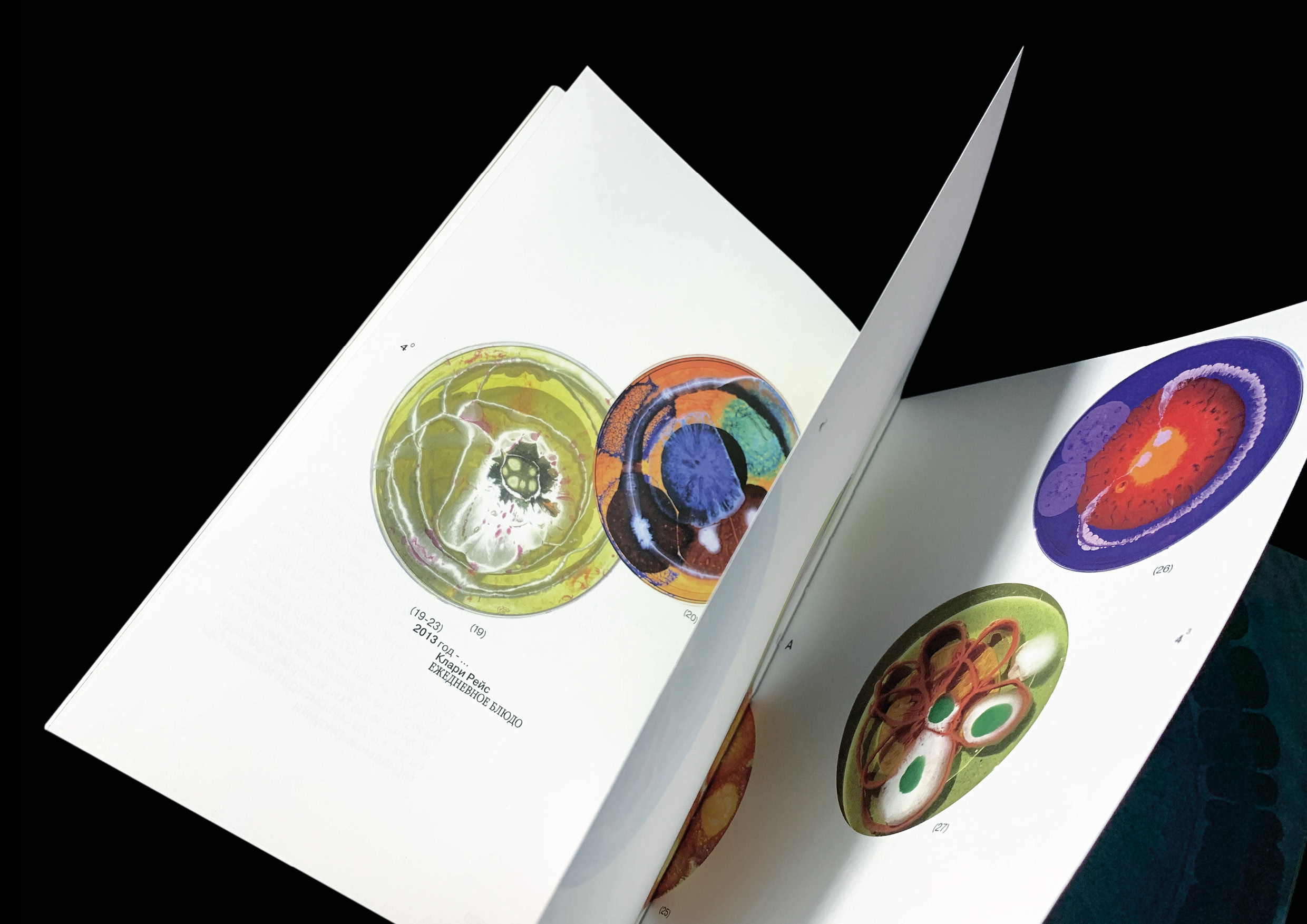 Microworld as an art — book — Изображение №14 — Графика на Dprofile