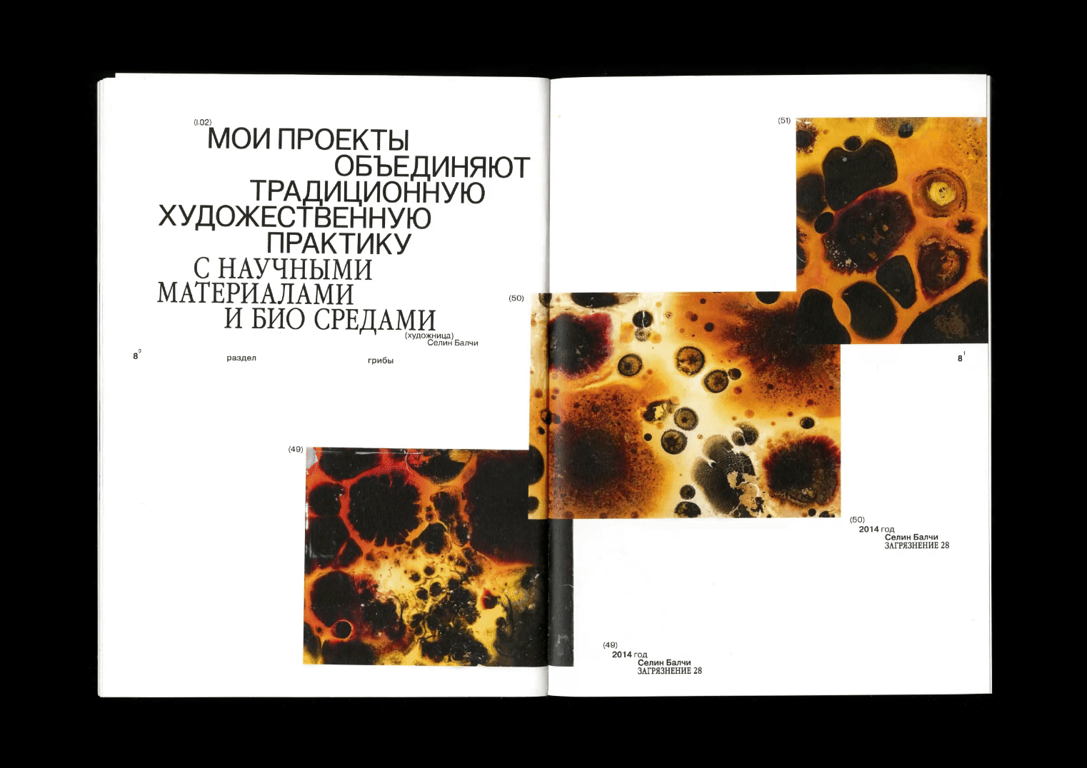 Microworld as an art — book — Изображение №10 — Графика на Dprofile