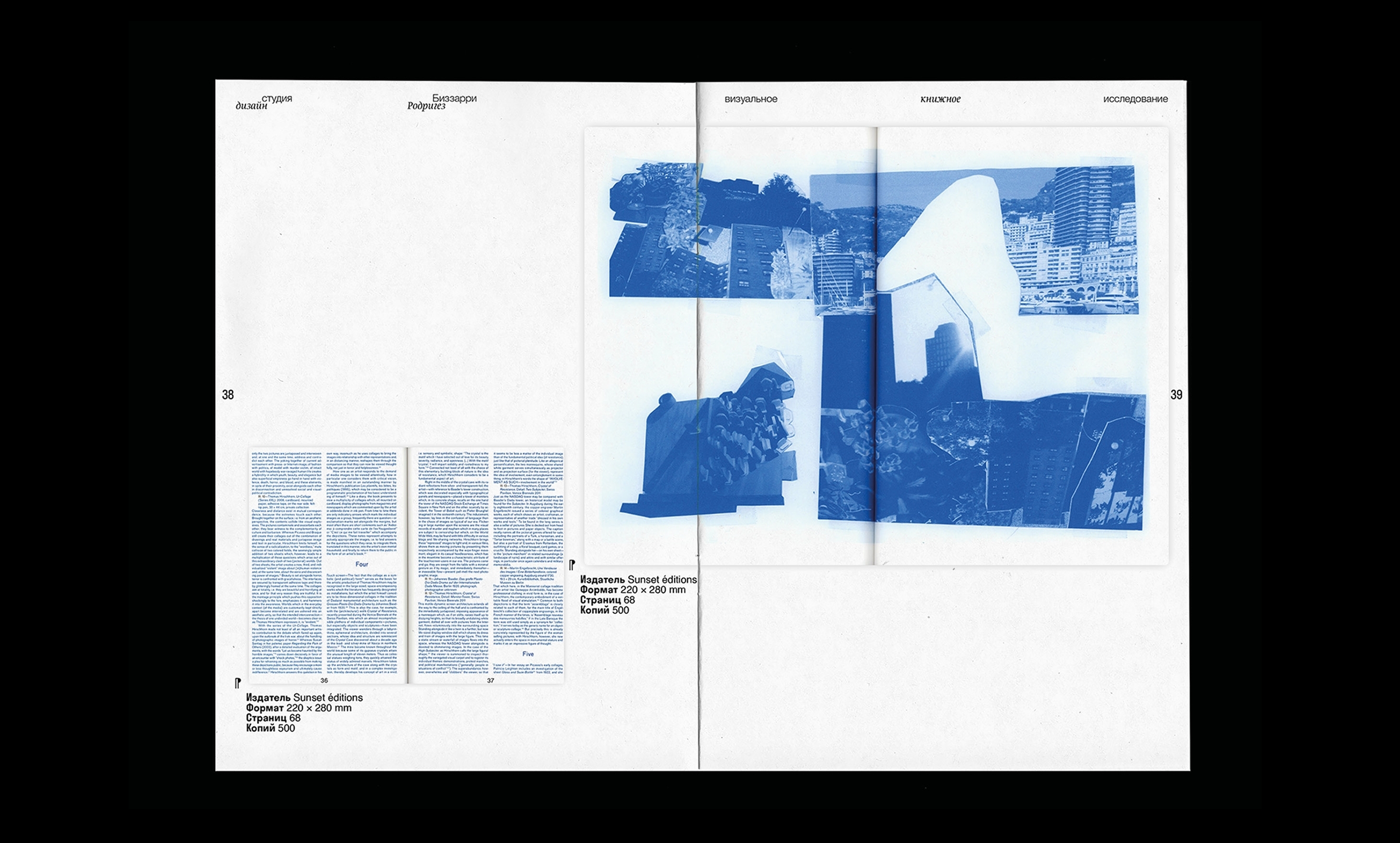 Bizzarri-Rodriguez — research book — Изображение №8 — Графика на Dprofile