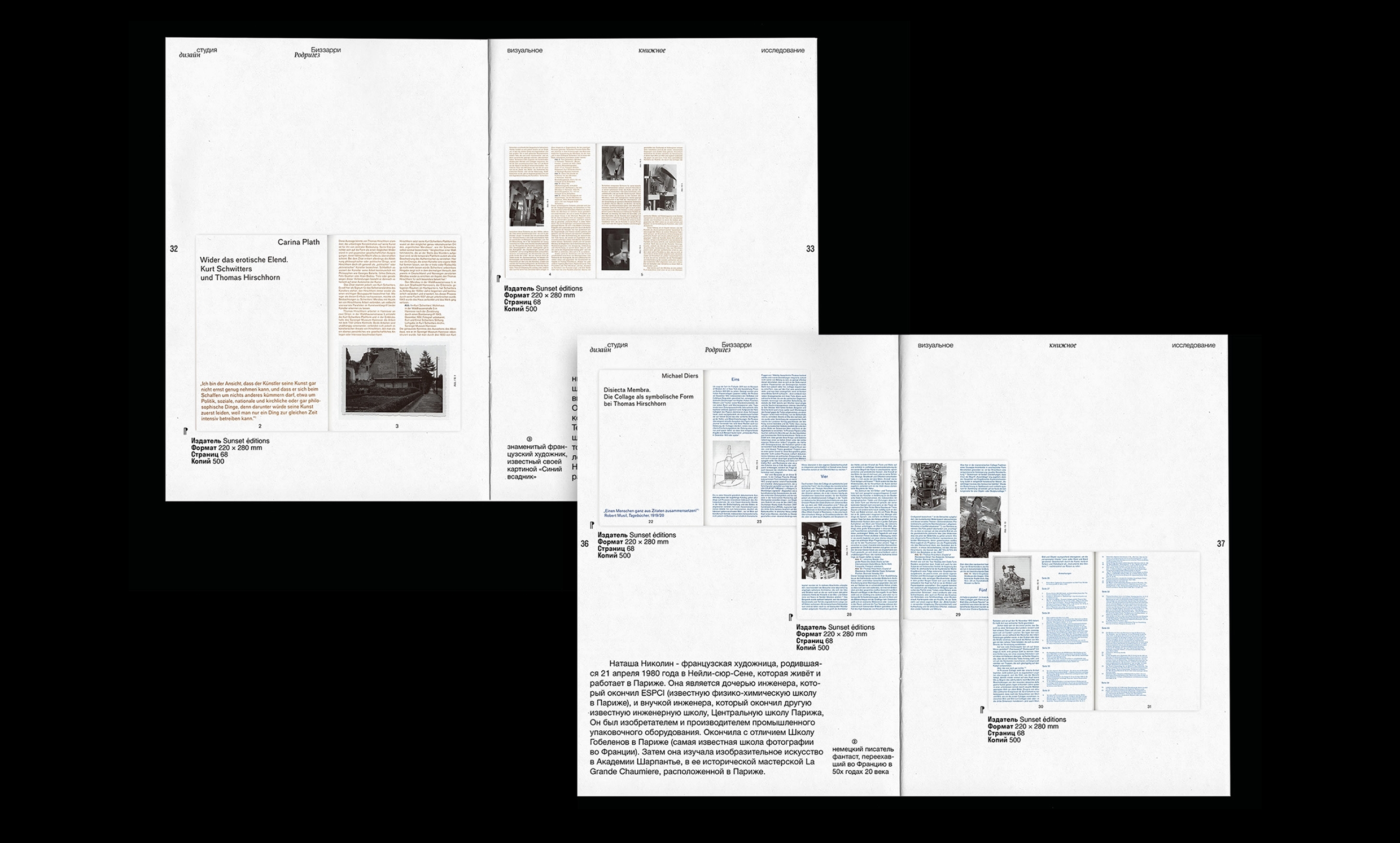 Bizzarri-Rodriguez — research book — Изображение №7 — Графика на Dprofile