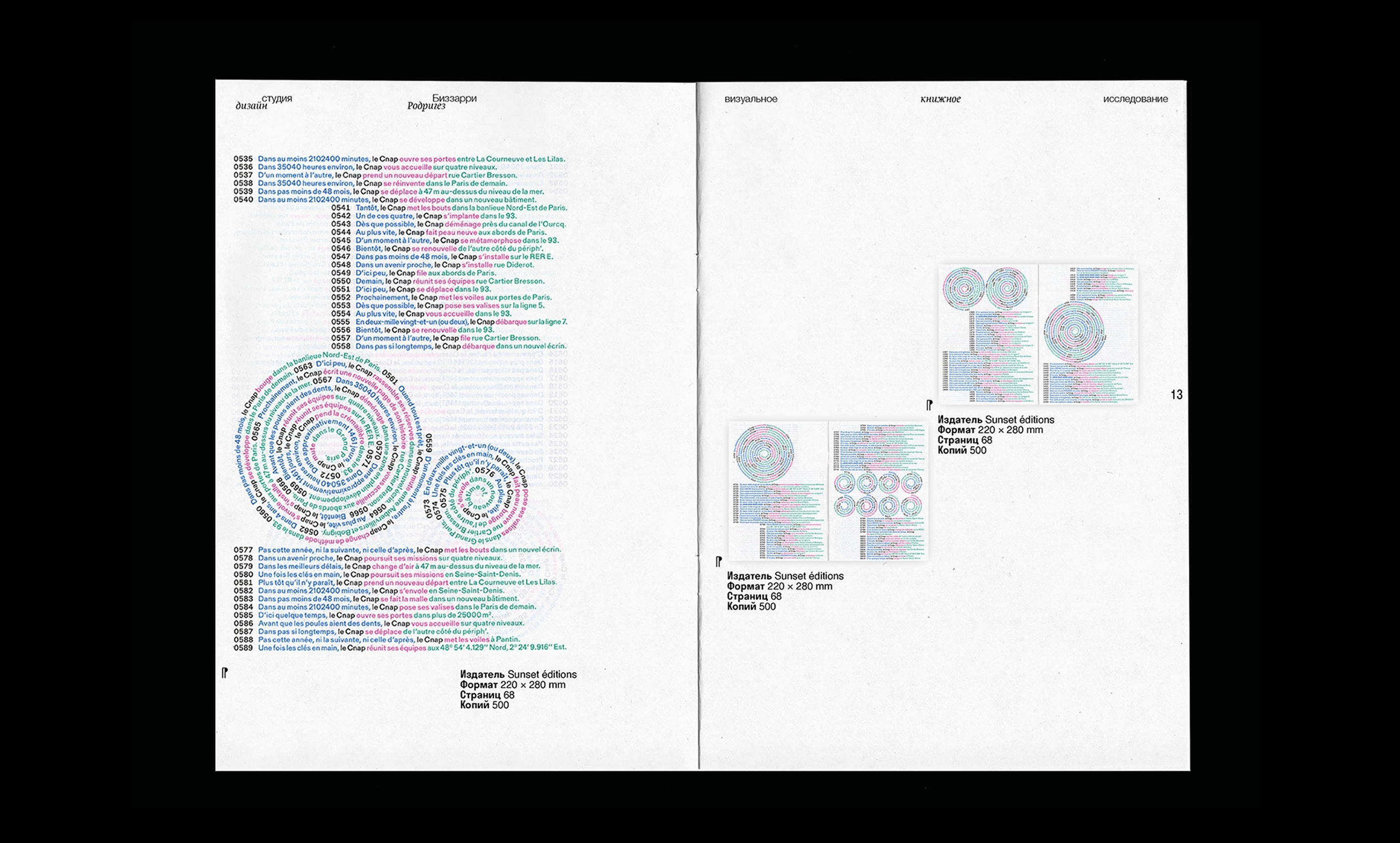 Bizzarri-Rodriguez — research book — Изображение №12 — Графика на Dprofile