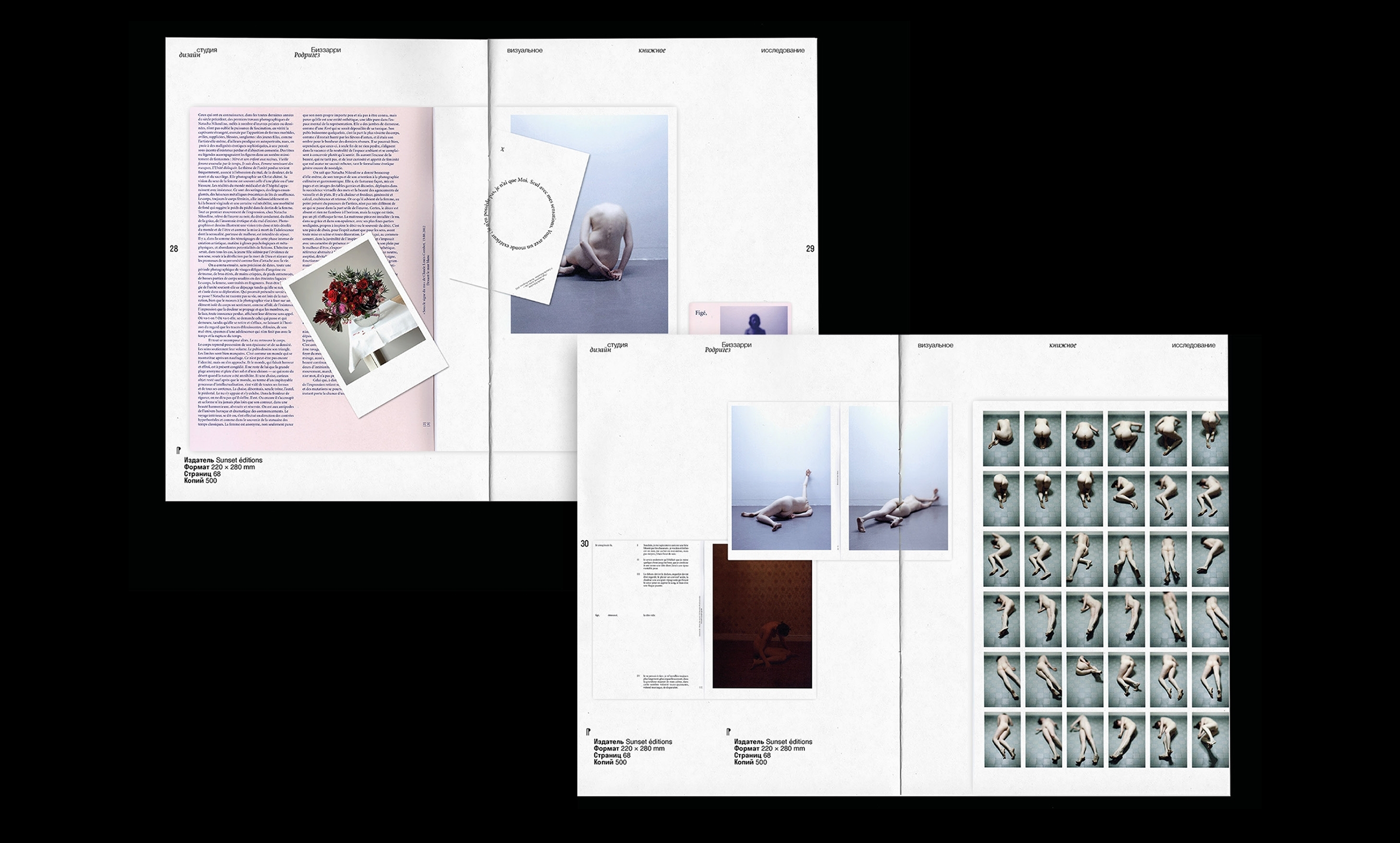 Bizzarri-Rodriguez — research book — Изображение №15 — Графика на Dprofile
