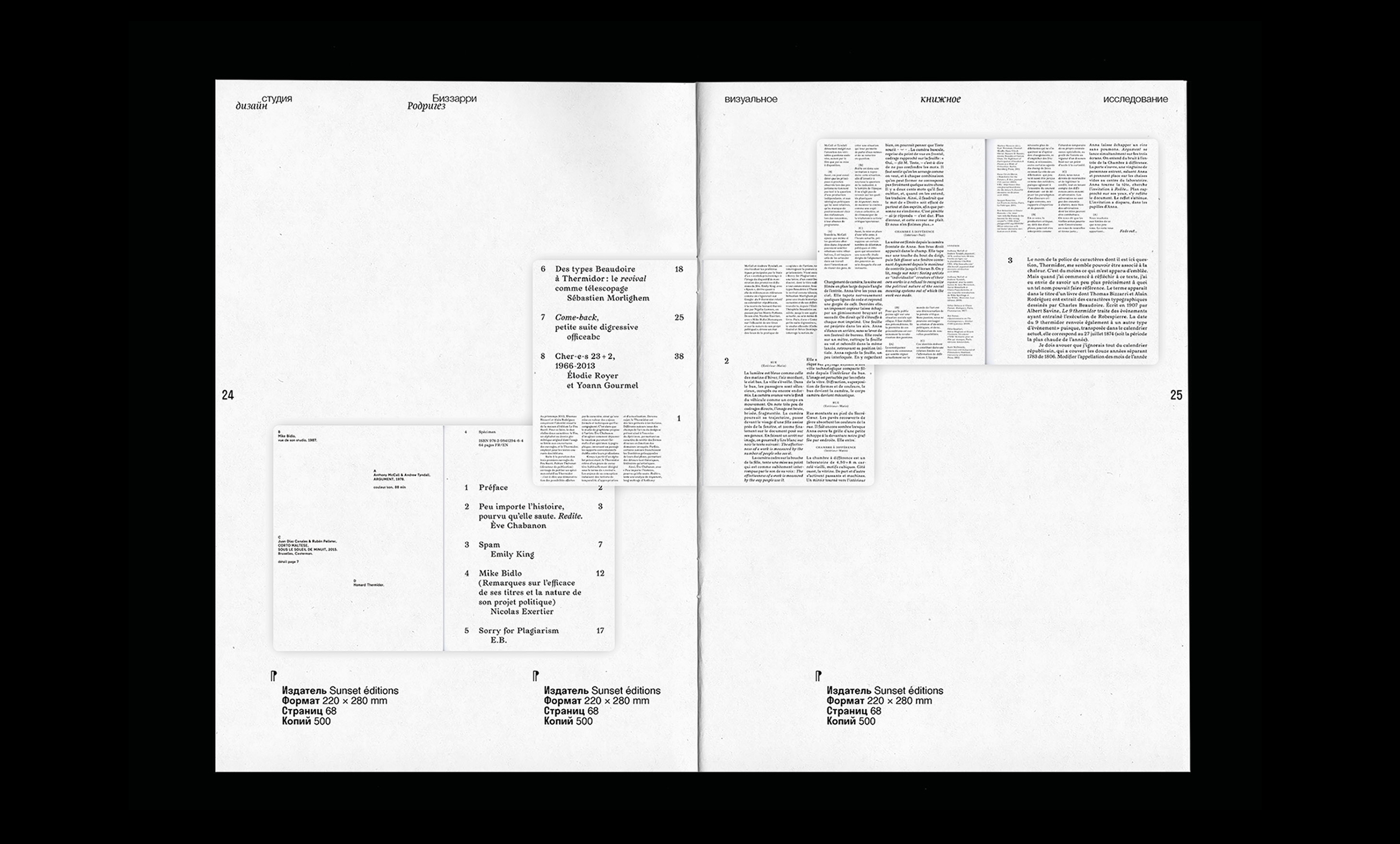 Bizzarri-Rodriguez — research book — Изображение №10 — Графика на Dprofile
