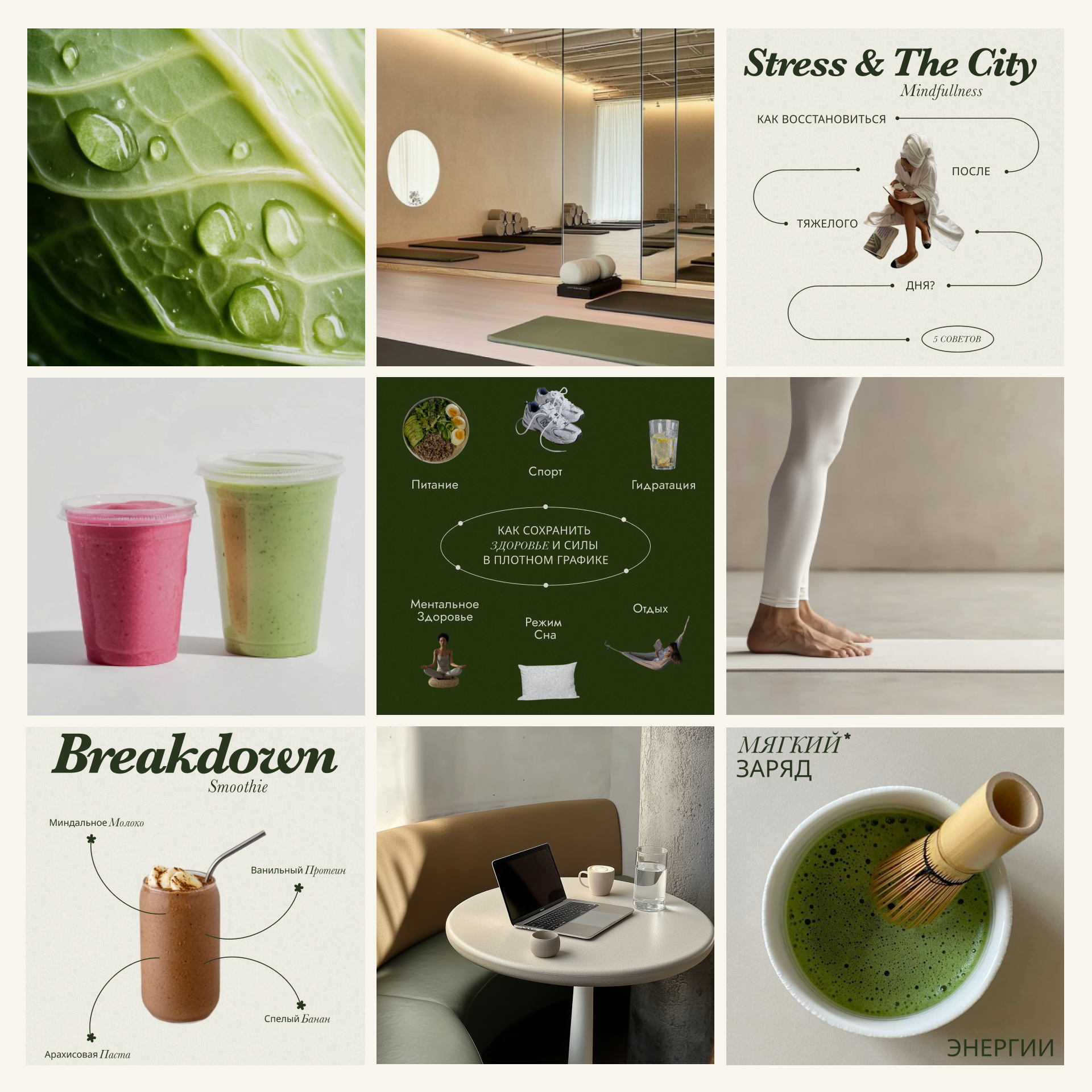 Healthy&Rich — Изображение №8 — Брендинг на Dprofile