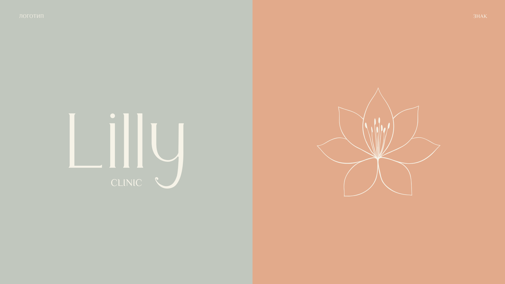 Lilly Clinic — Visual Identity — Изображение №4 — Брендинг на Dprofile