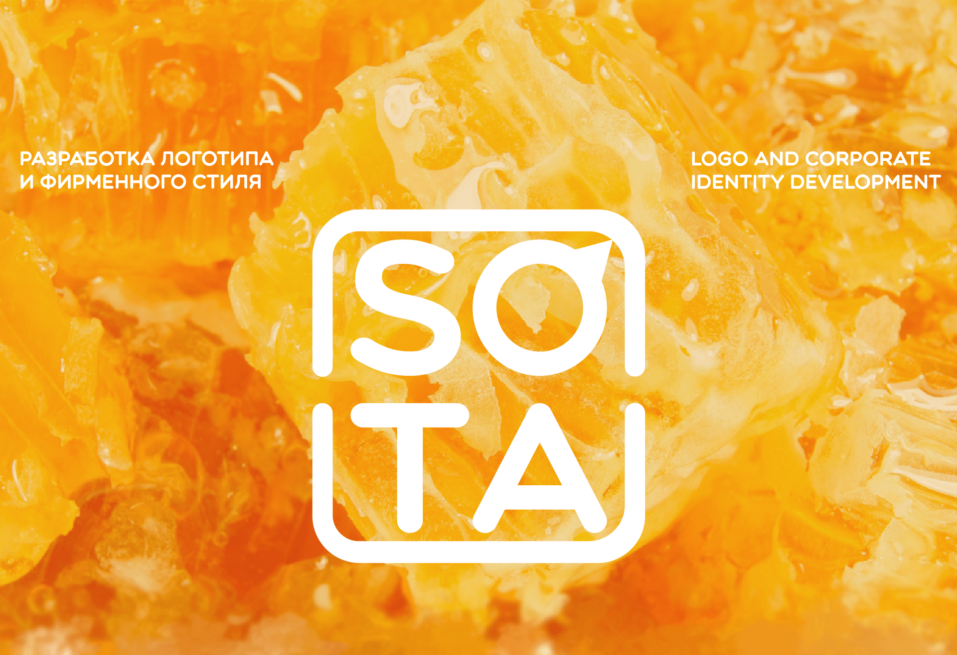 SOTA | Фирменный стиль — Изображение №1 — Брендинг на Dprofile