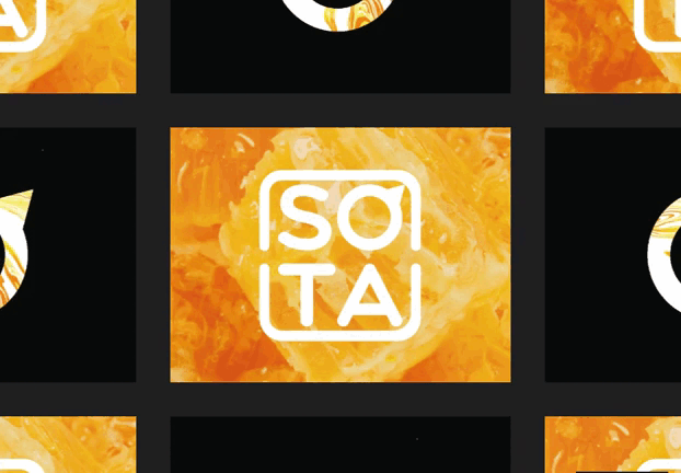 SOTA | Фирменный стиль — Изображение №7 — Брендинг на Dprofile