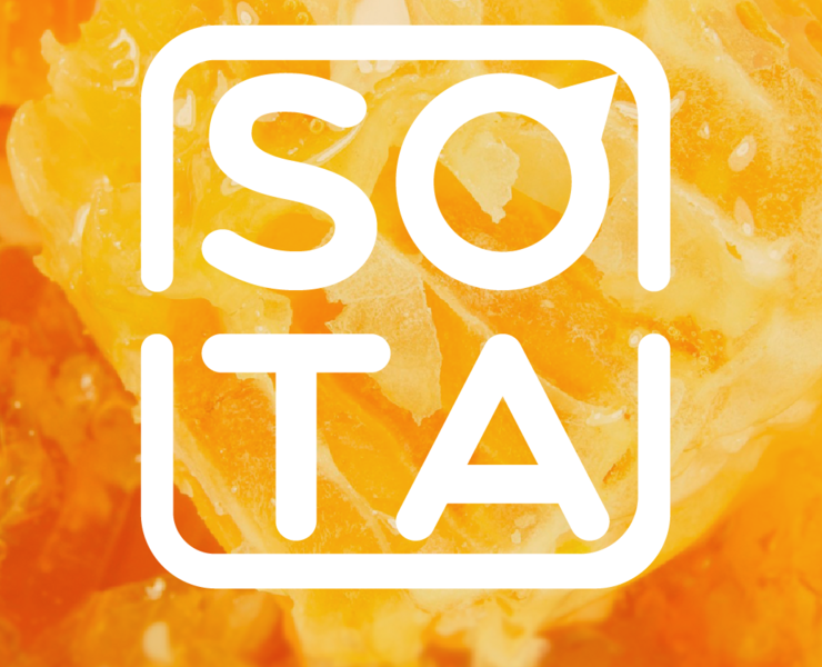 SOTA | Фирменный стиль — Брендинг на Dprofile