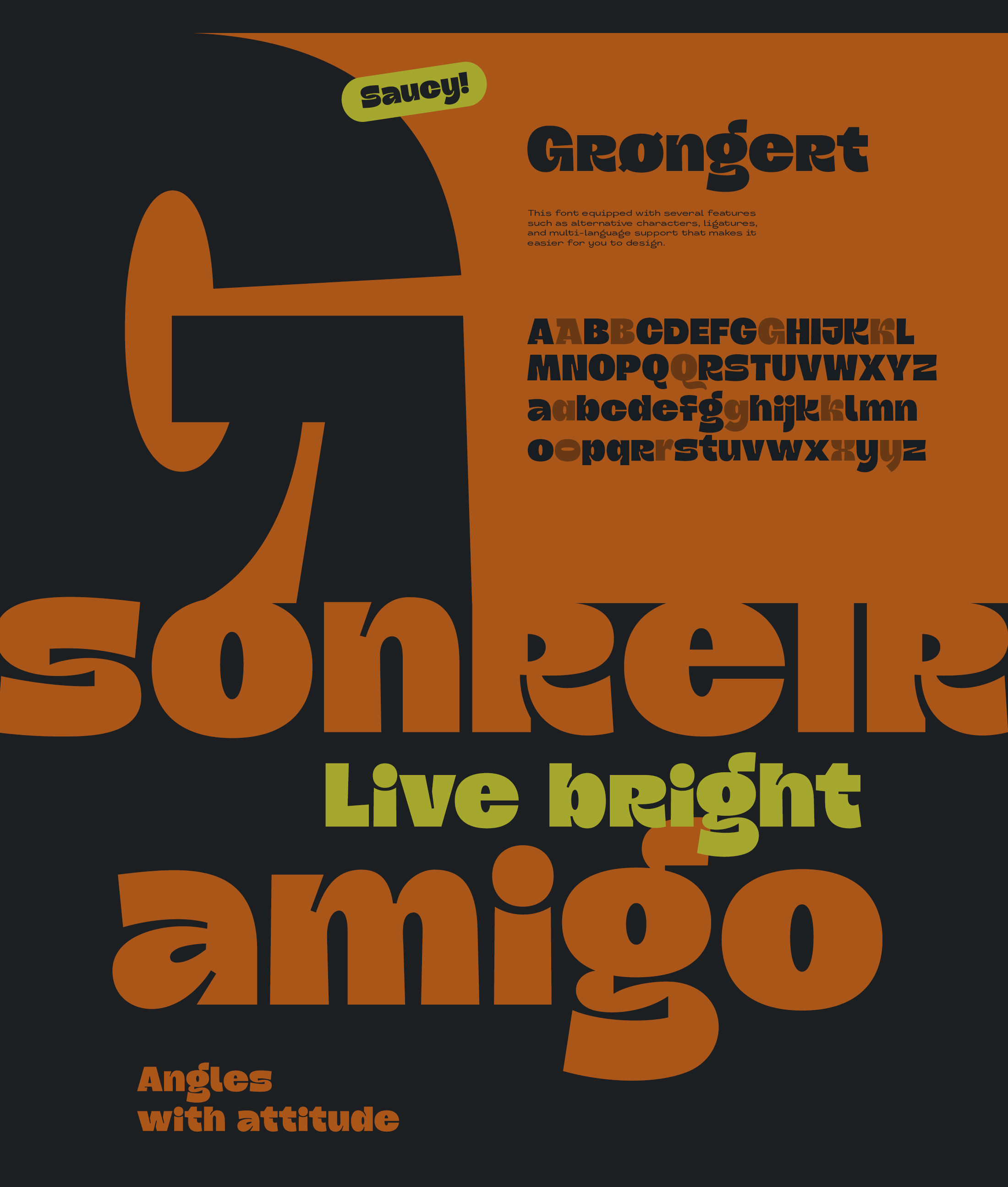 Шрифт Grongert — Изображение №5 — Брендинг, Графика на Dprofile