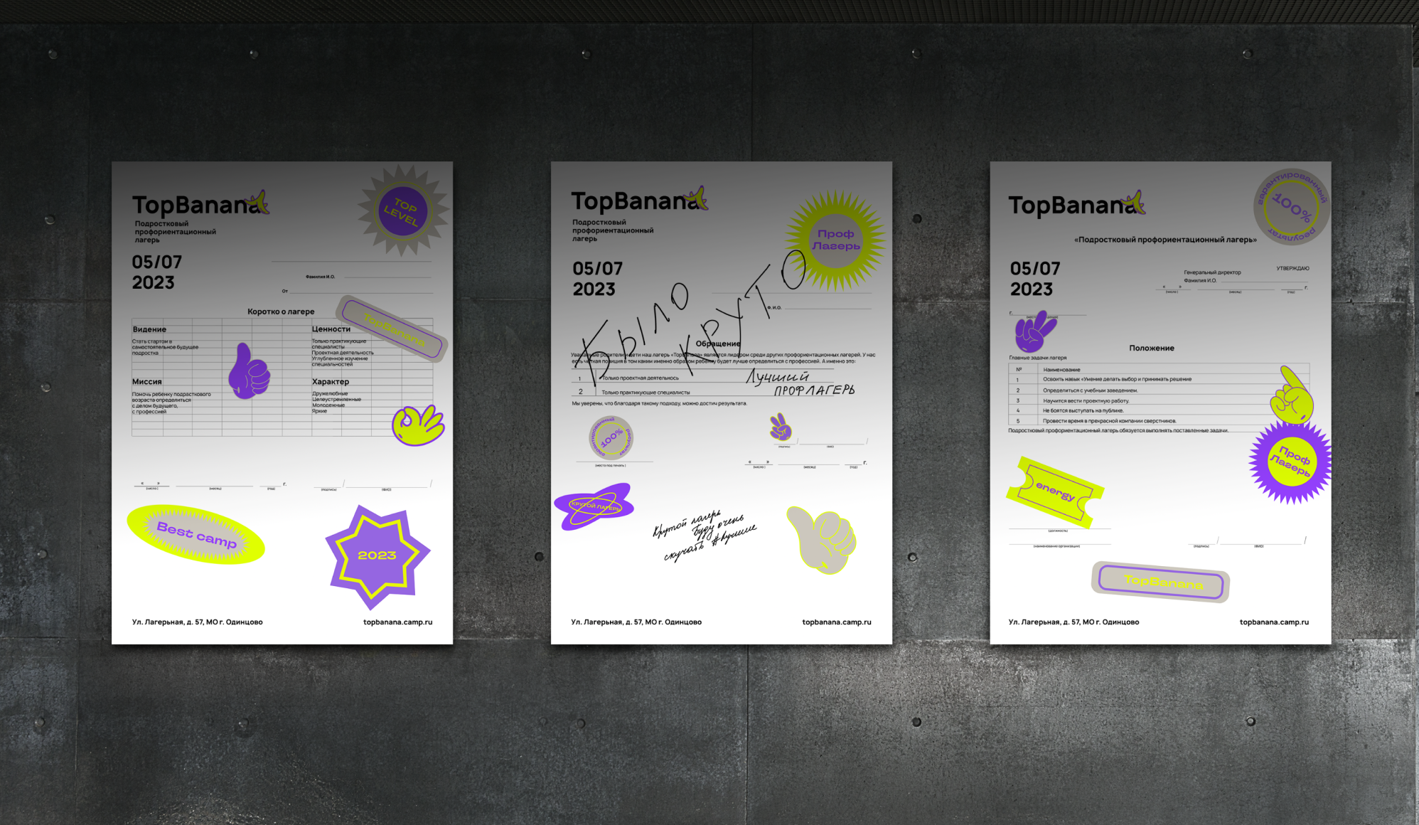 Career guidance camp "TopBanana" — Изображение №8 — Брендинг на Dprofile