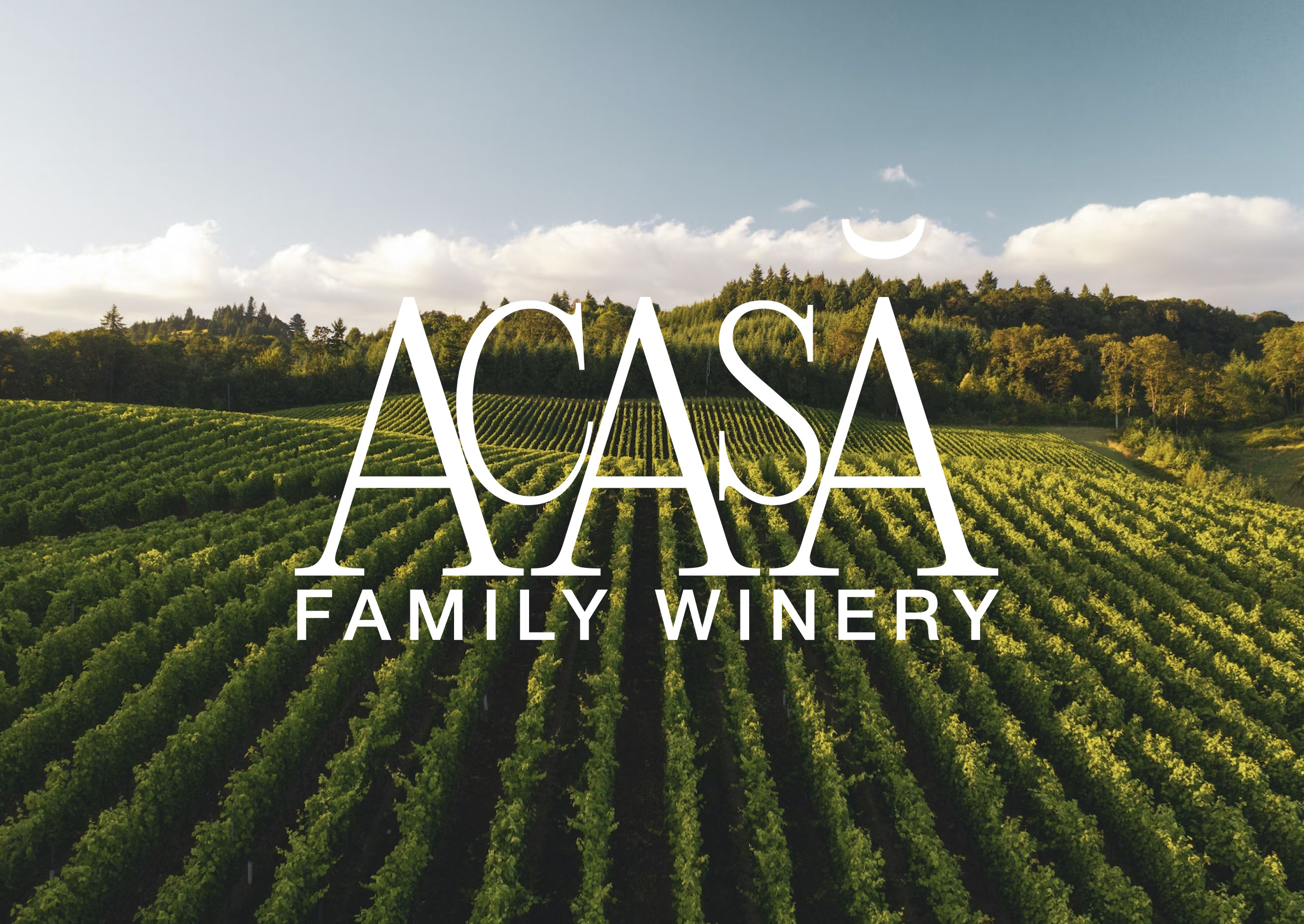 Family Winery "ACASĂ" — Изображение №1 — Брендинг на Dprofile