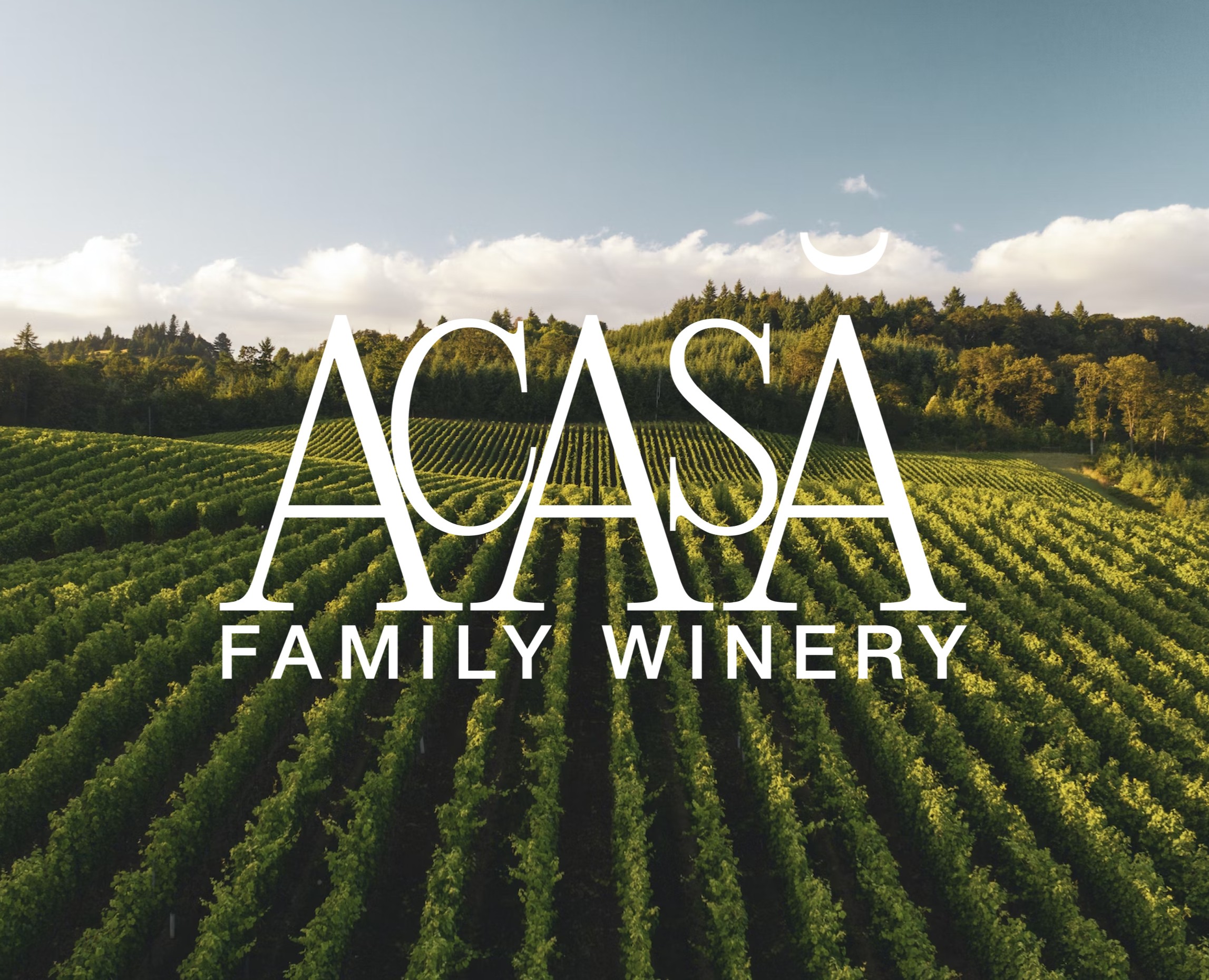 Family Winery "ACASĂ" — Брендинг на Dprofile