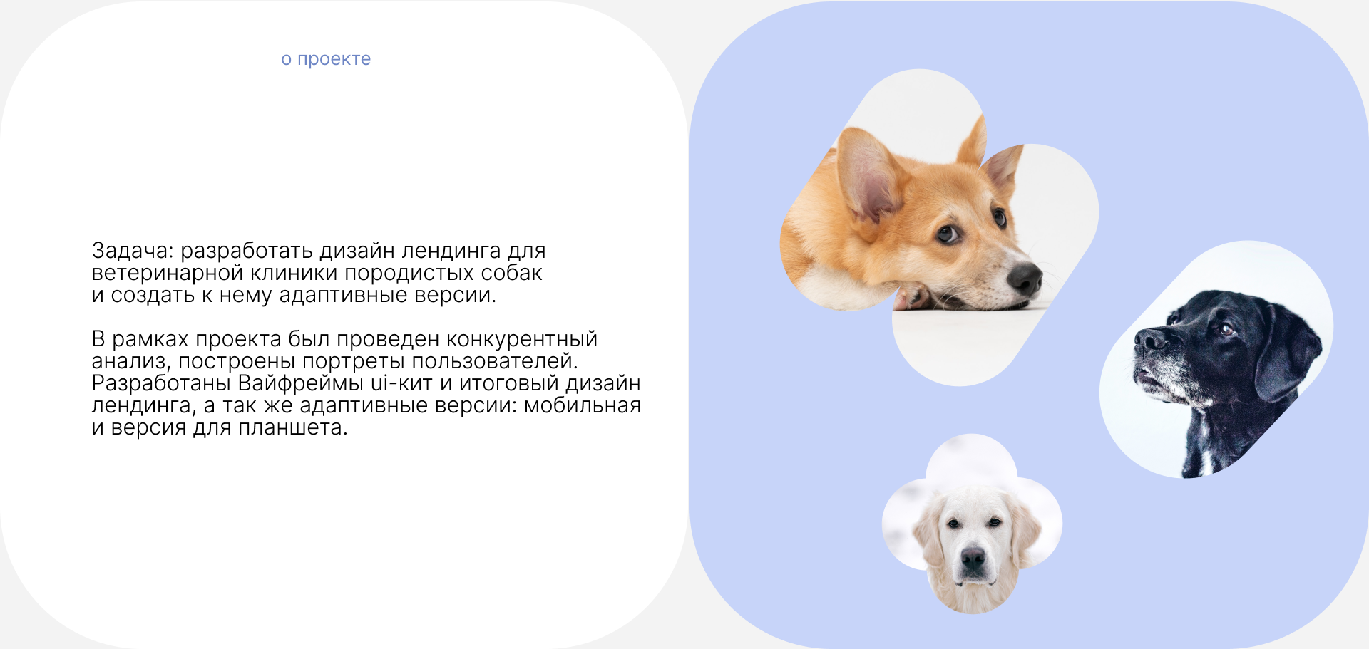 Web | Landing page for veterinary clinic Dog + Doc — Изображение №2 — Интерфейсы на Dprofile