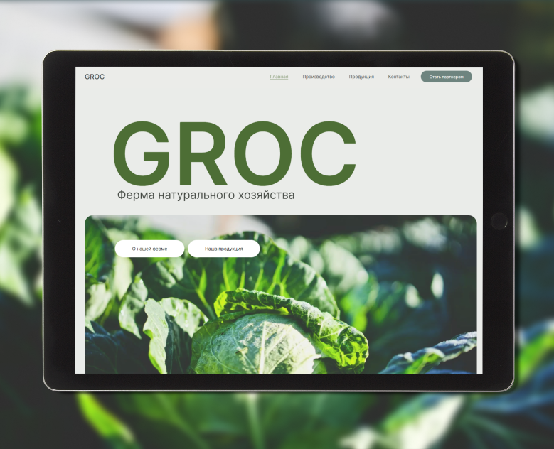 GROC | Website for eco farm | Сайт для эко-фермы — Интерфейсы на Dprofile