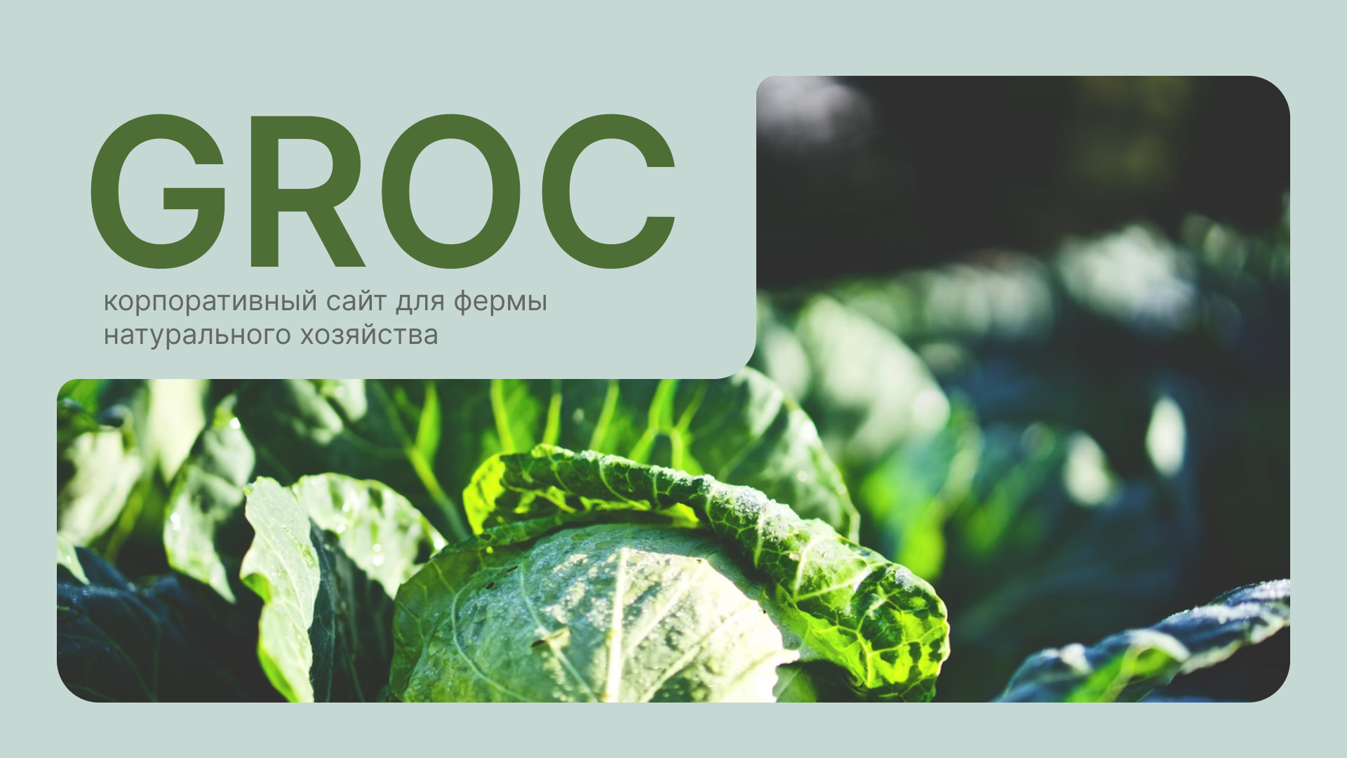 GROC | Website for eco farm | Сайт для эко-фермы — Изображение №1 — Интерфейсы на Dprofile