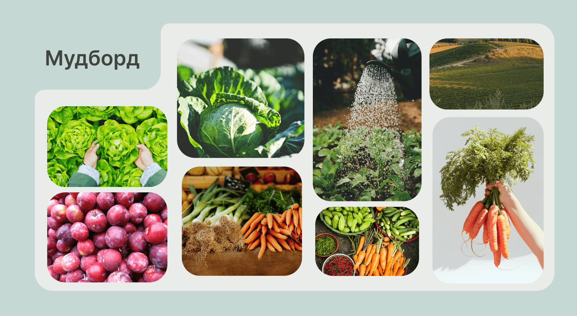 GROC | Website for eco farm | Сайт для эко-фермы — Изображение №4 — Интерфейсы на Dprofile