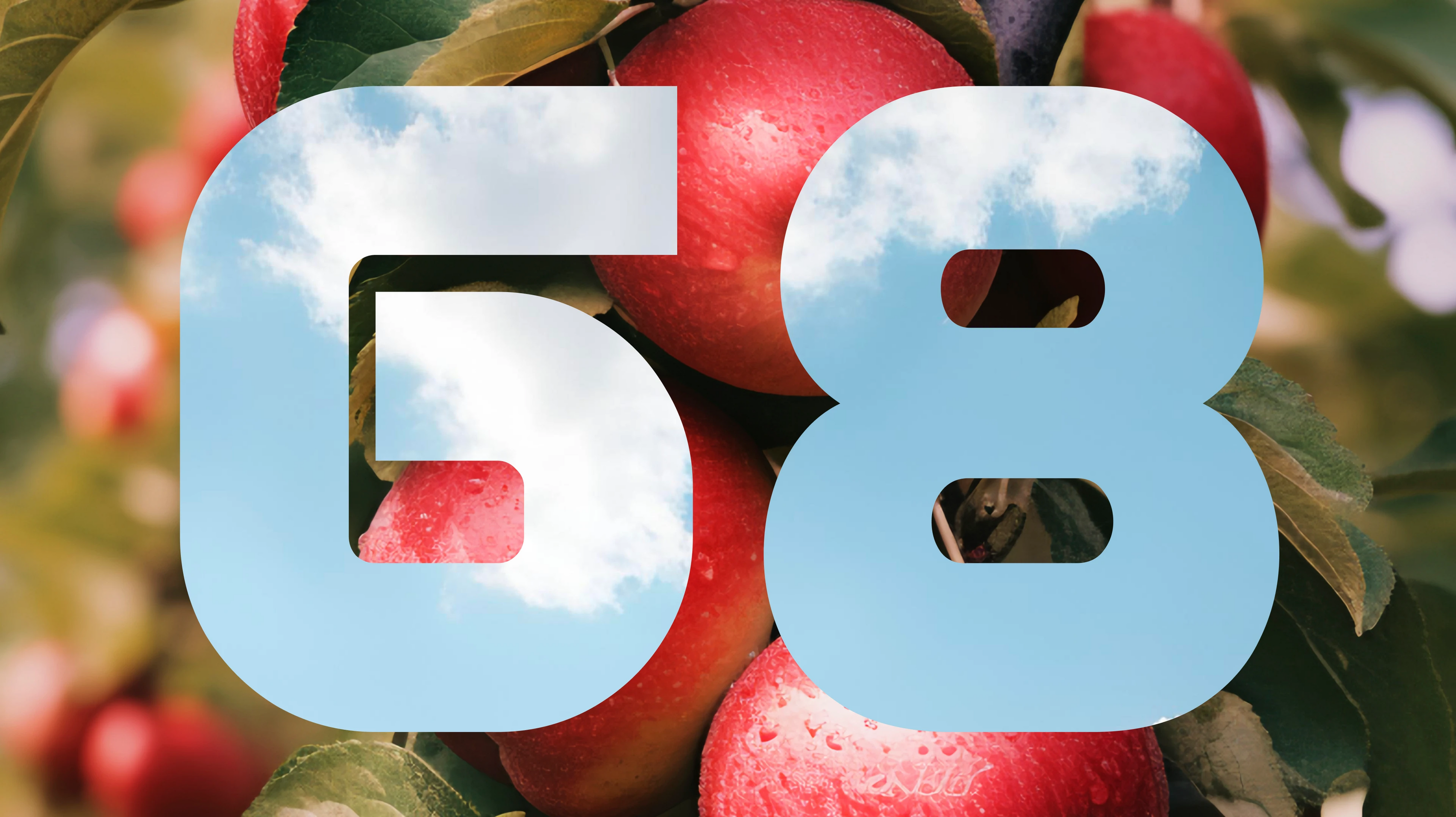 Брендинг кофейни Дача 68 — Изображение №4 — Брендинг, Графика на Dprofile