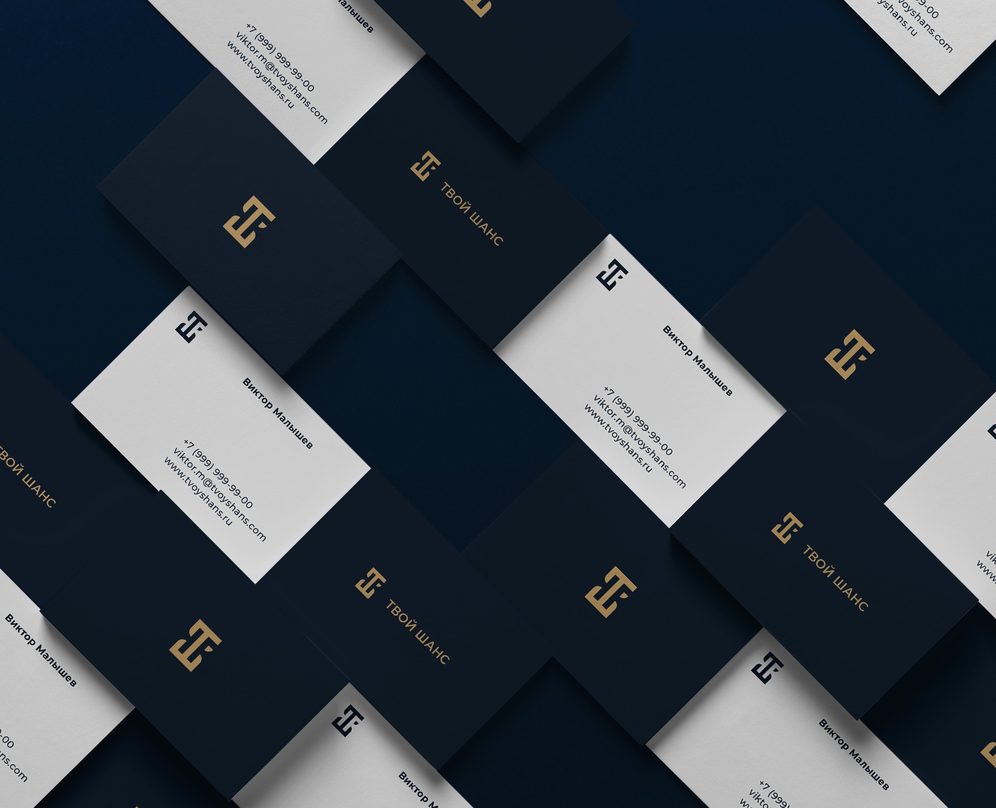 Твой Шанс — Брендинг на Dprofile