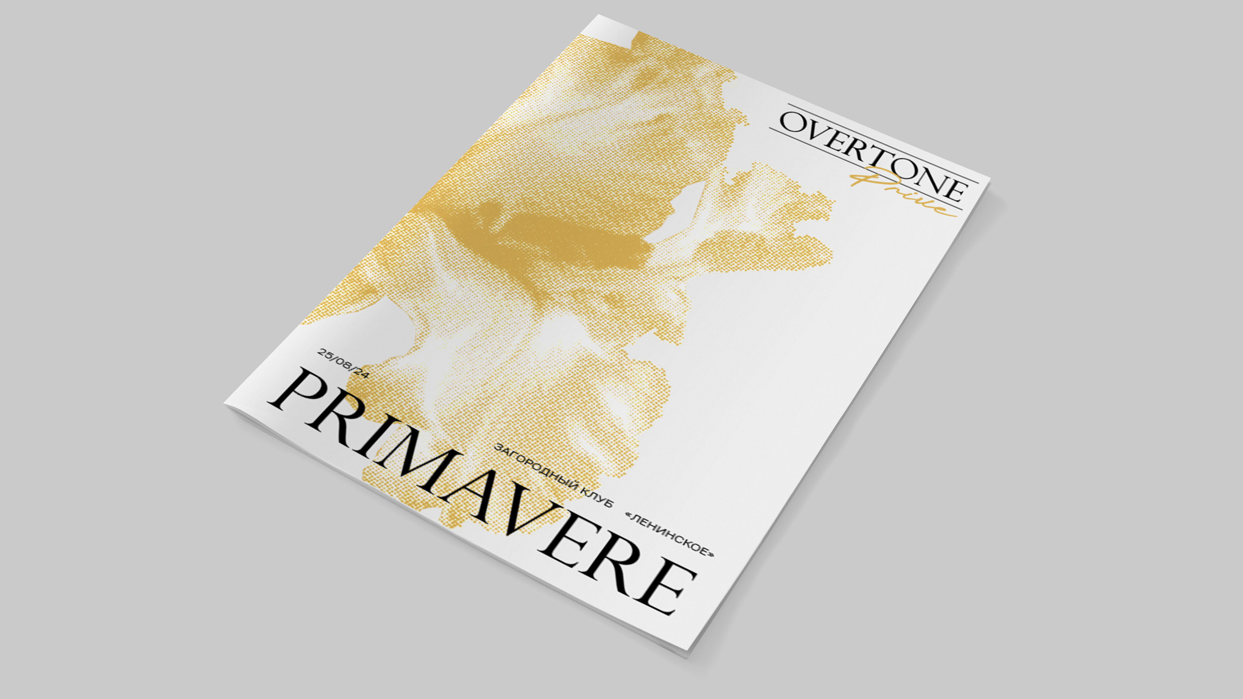 Брендирование OVERTONE — Изображение №10 — Брендинг на Dprofile