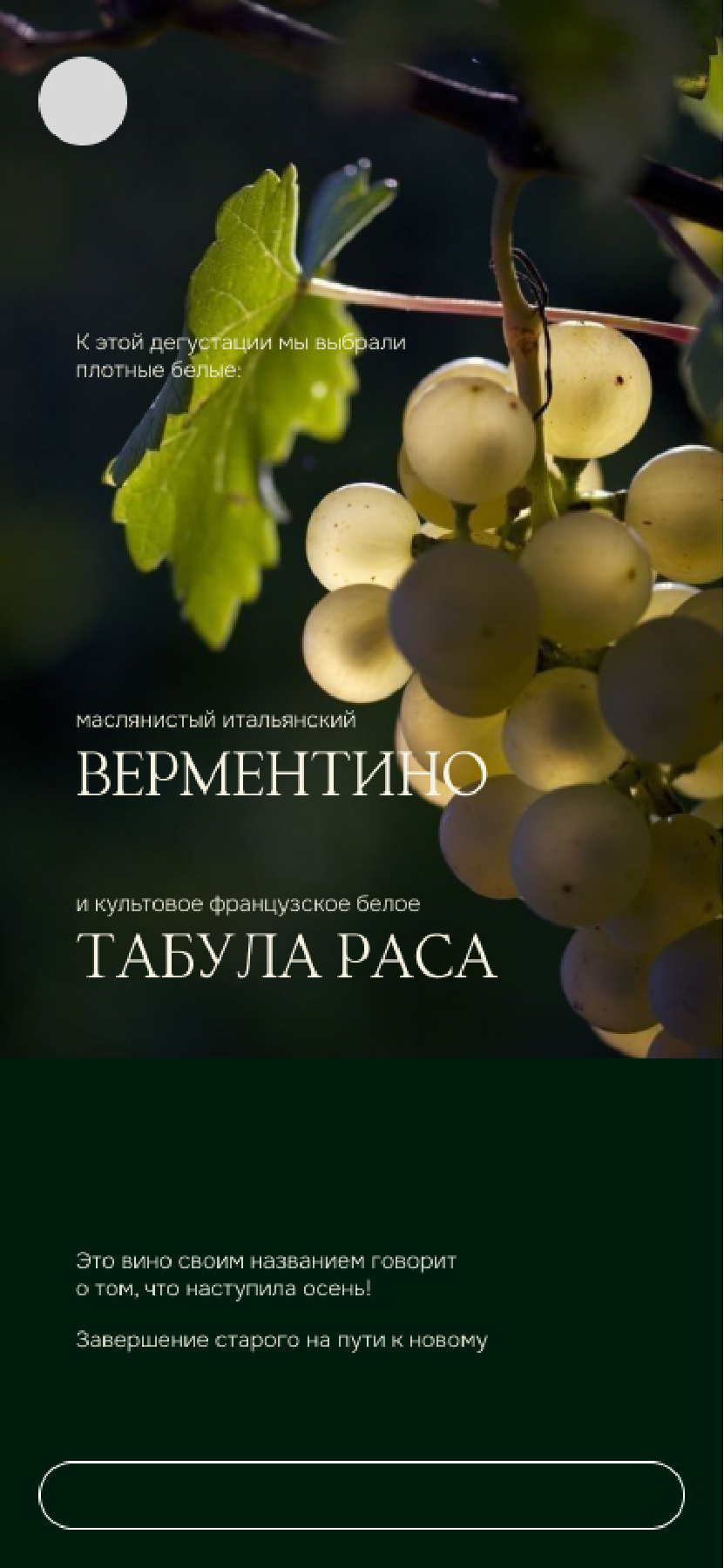 проектные мини-кейсы — Изображение №8 — Иллюстрация, Графика на Dprofile