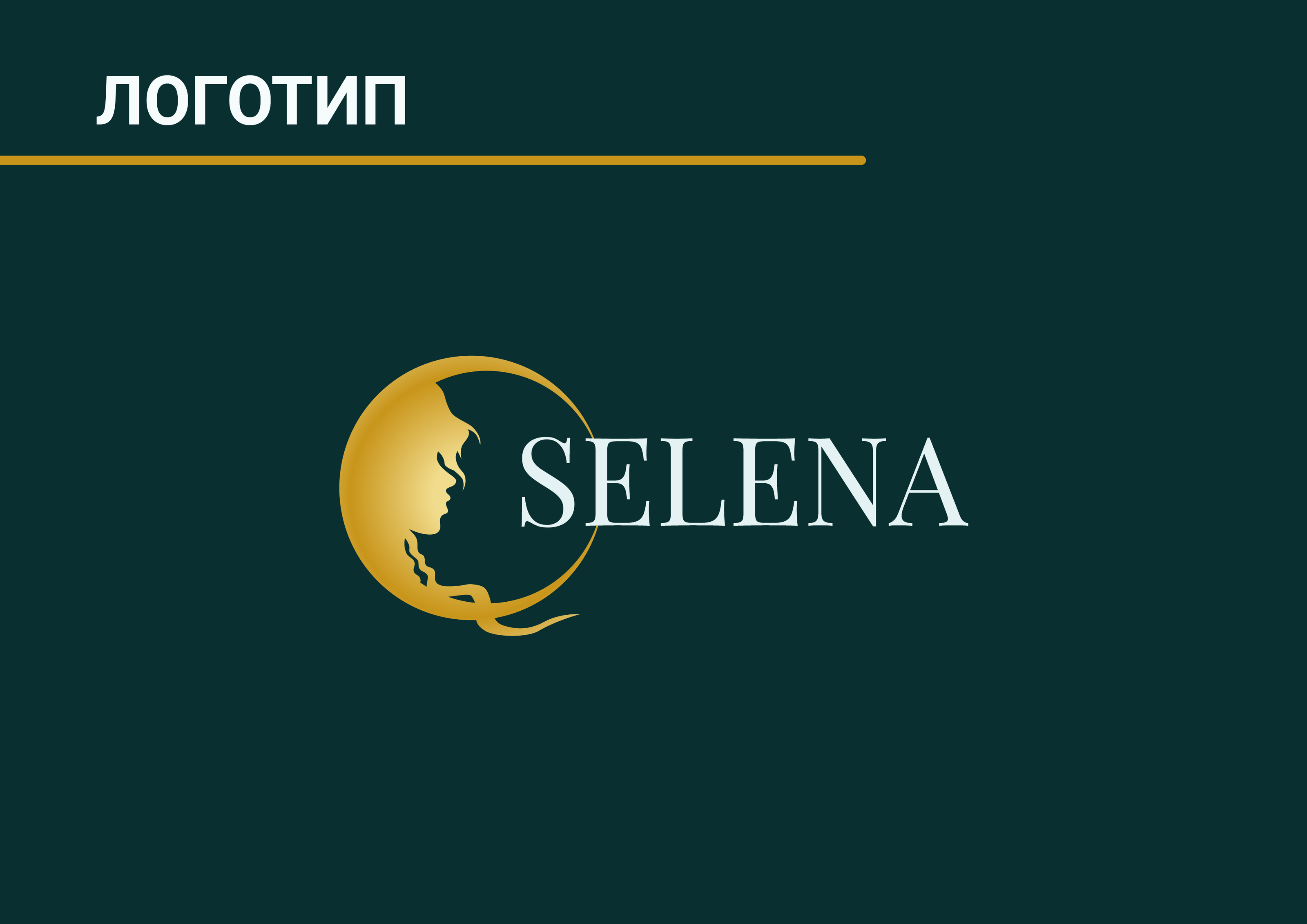 Selena — Изображение №3 — Брендинг, Графика на Dprofile