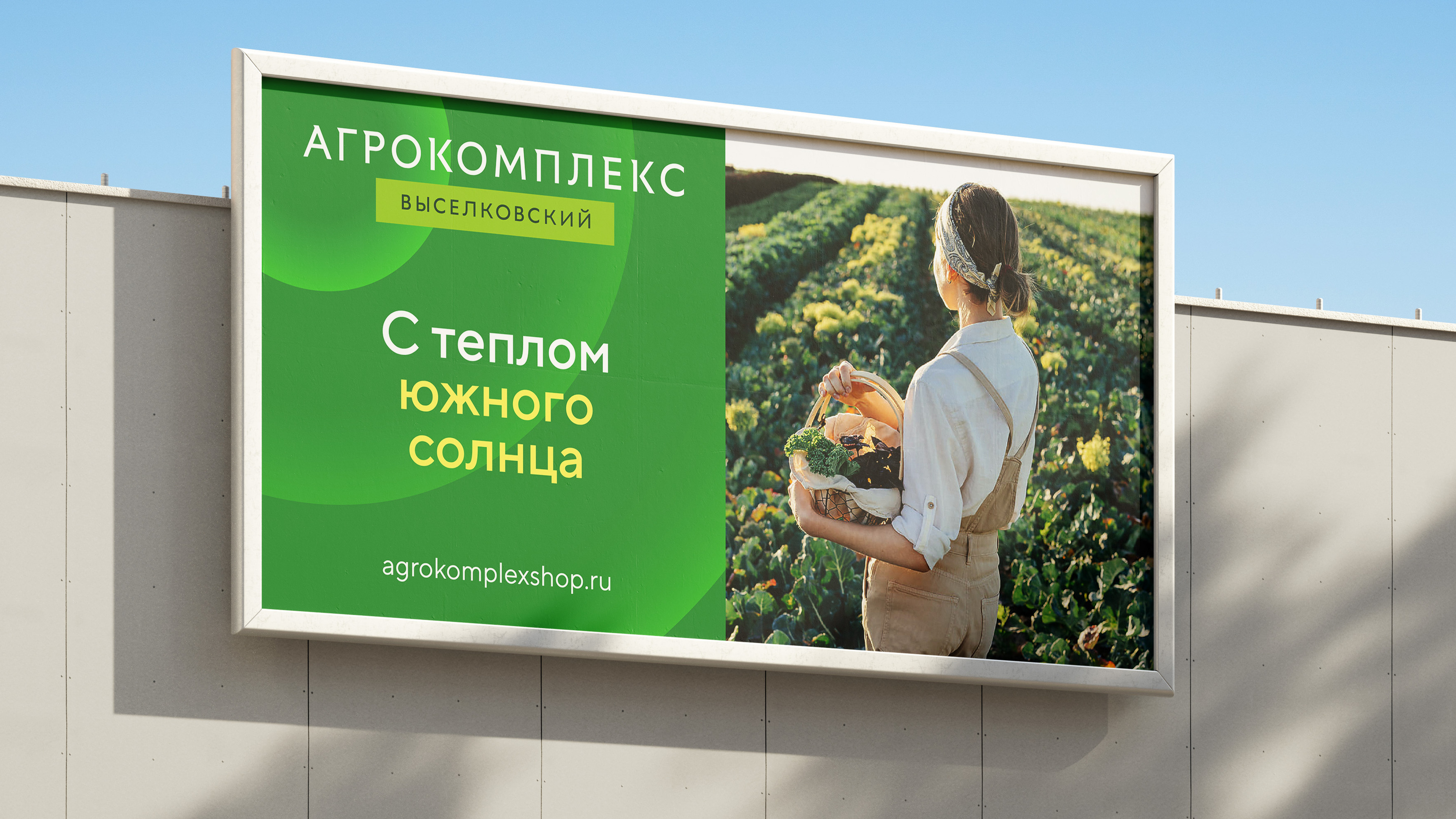 Бренд для Агрокомплекса Выселковского — Изображение №1 — Брендинг на Dprofile