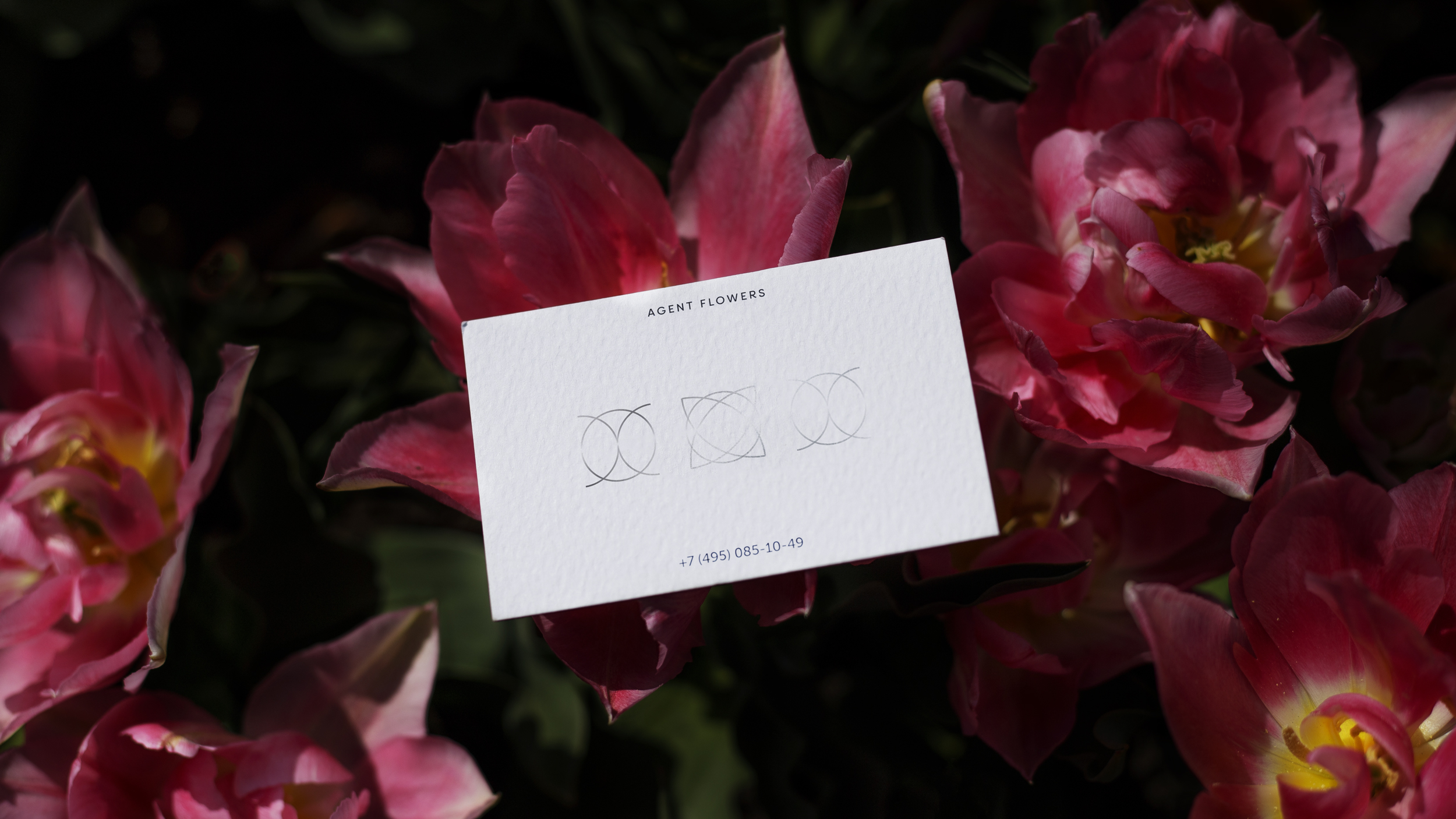 Ребрендинг сервиса Agent Flowers — Изображение №3 — Брендинг на Dprofile