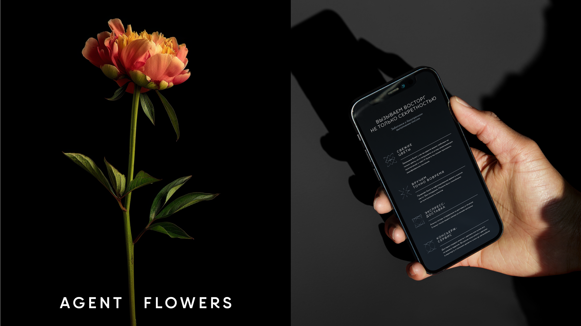 Ребрендинг сервиса Agent Flowers — Изображение №2 — Брендинг на Dprofile