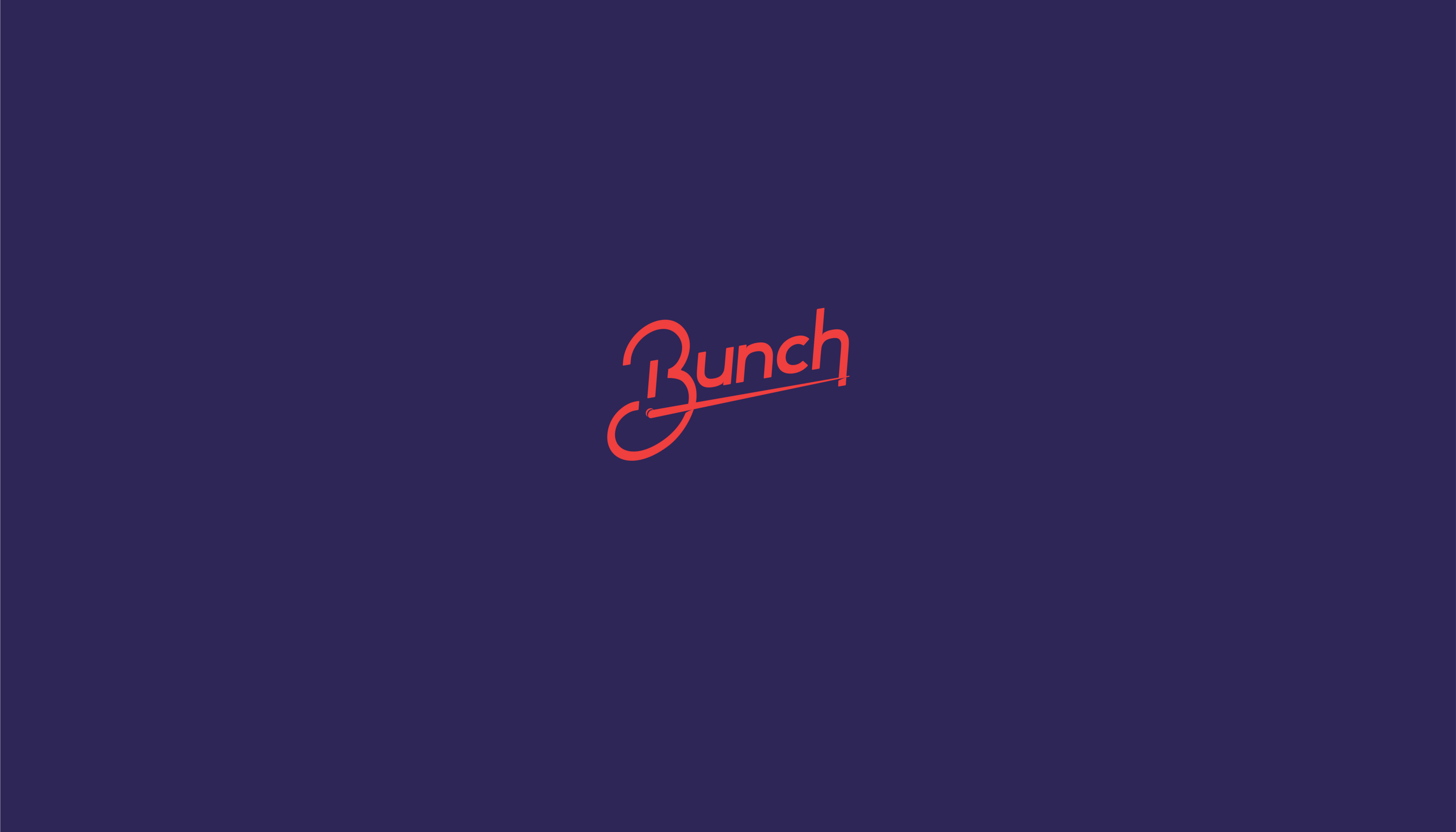 Bunch | GEEK SHOP — Изображение №2 — Брендинг на Dprofile