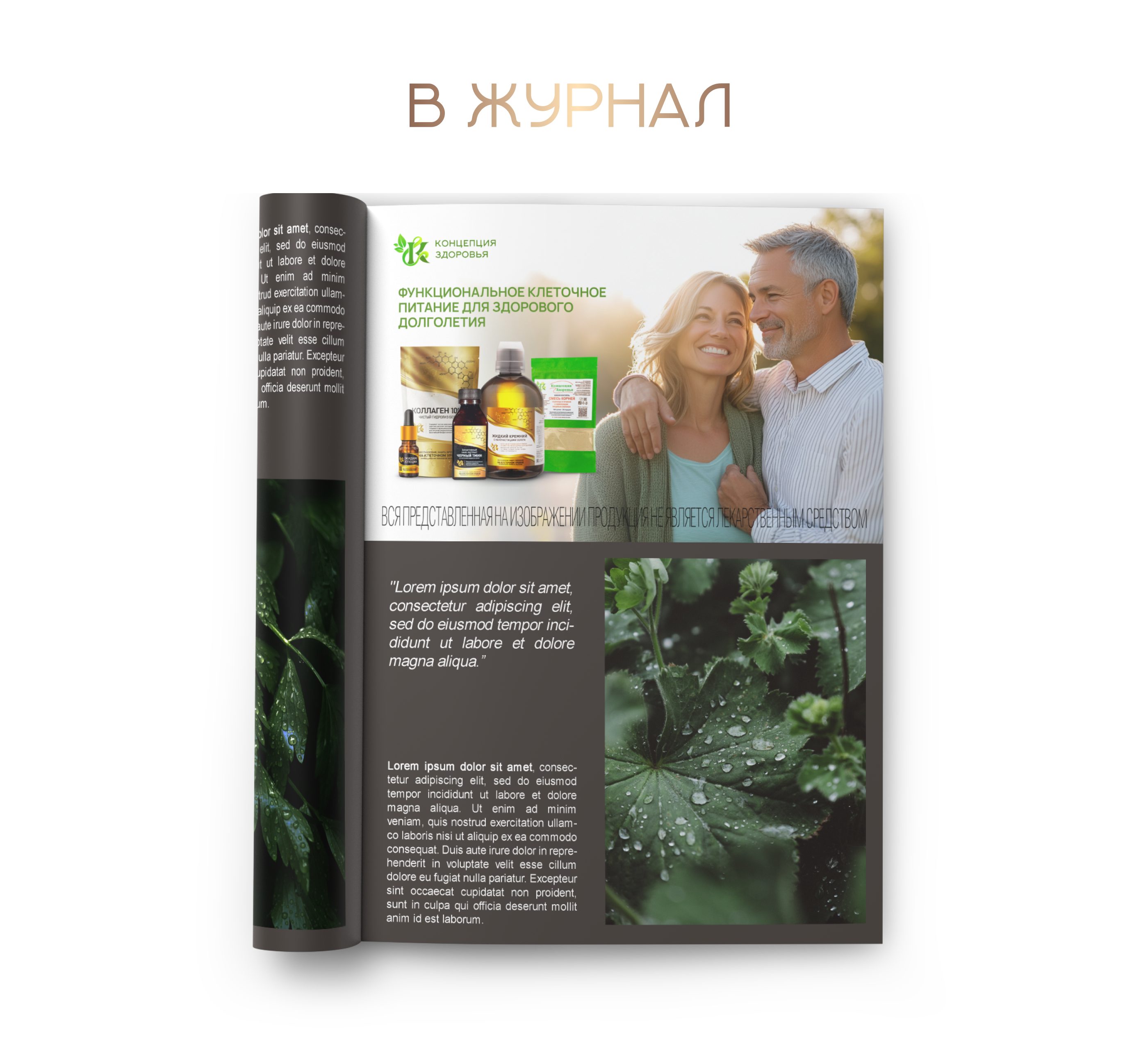 Презентация и лендинг для партнерской программы — Изображение №27 — Интерфейсы на Dprofile