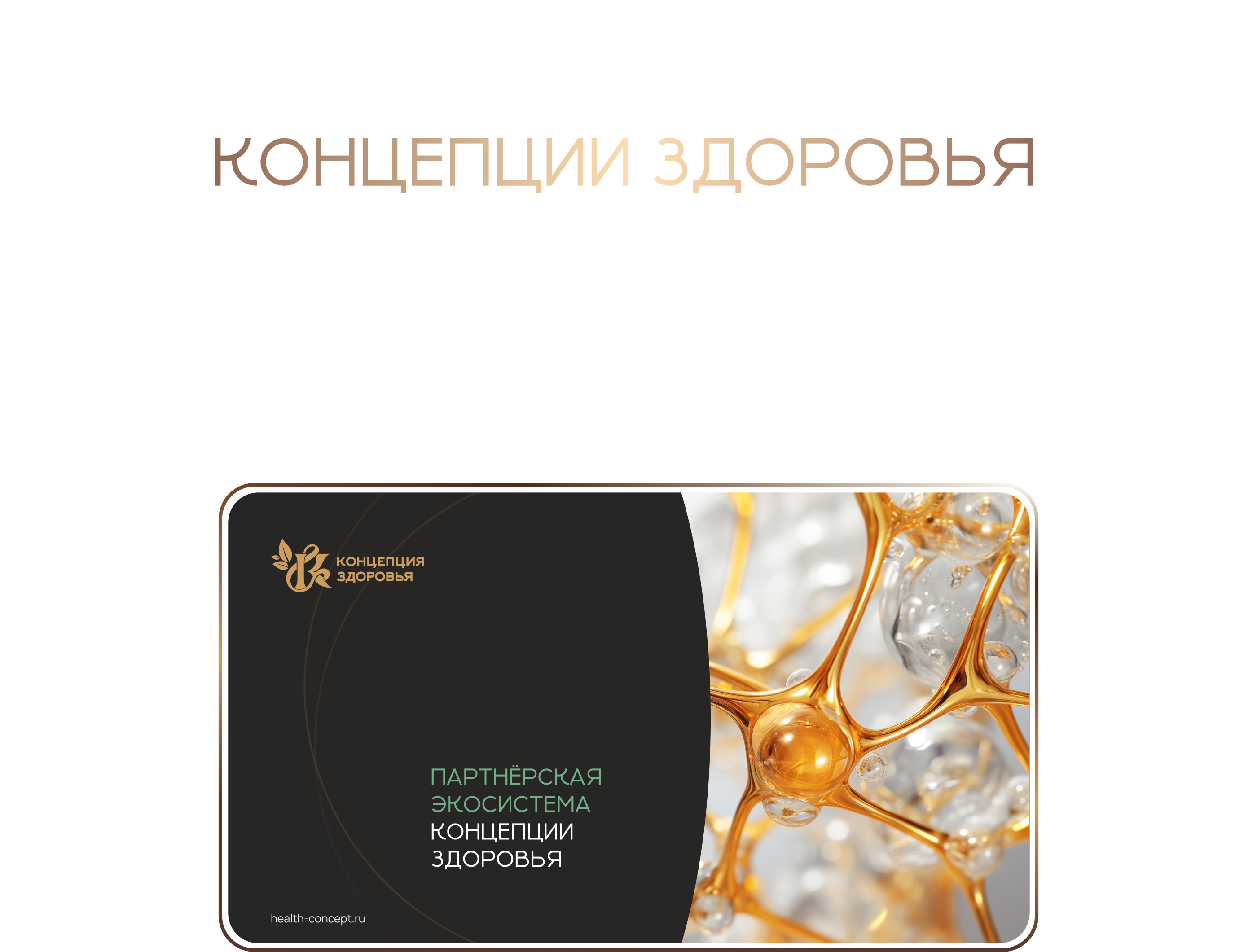 Презентация и лендинг для партнерской программы — Изображение №7 — Интерфейсы на Dprofile